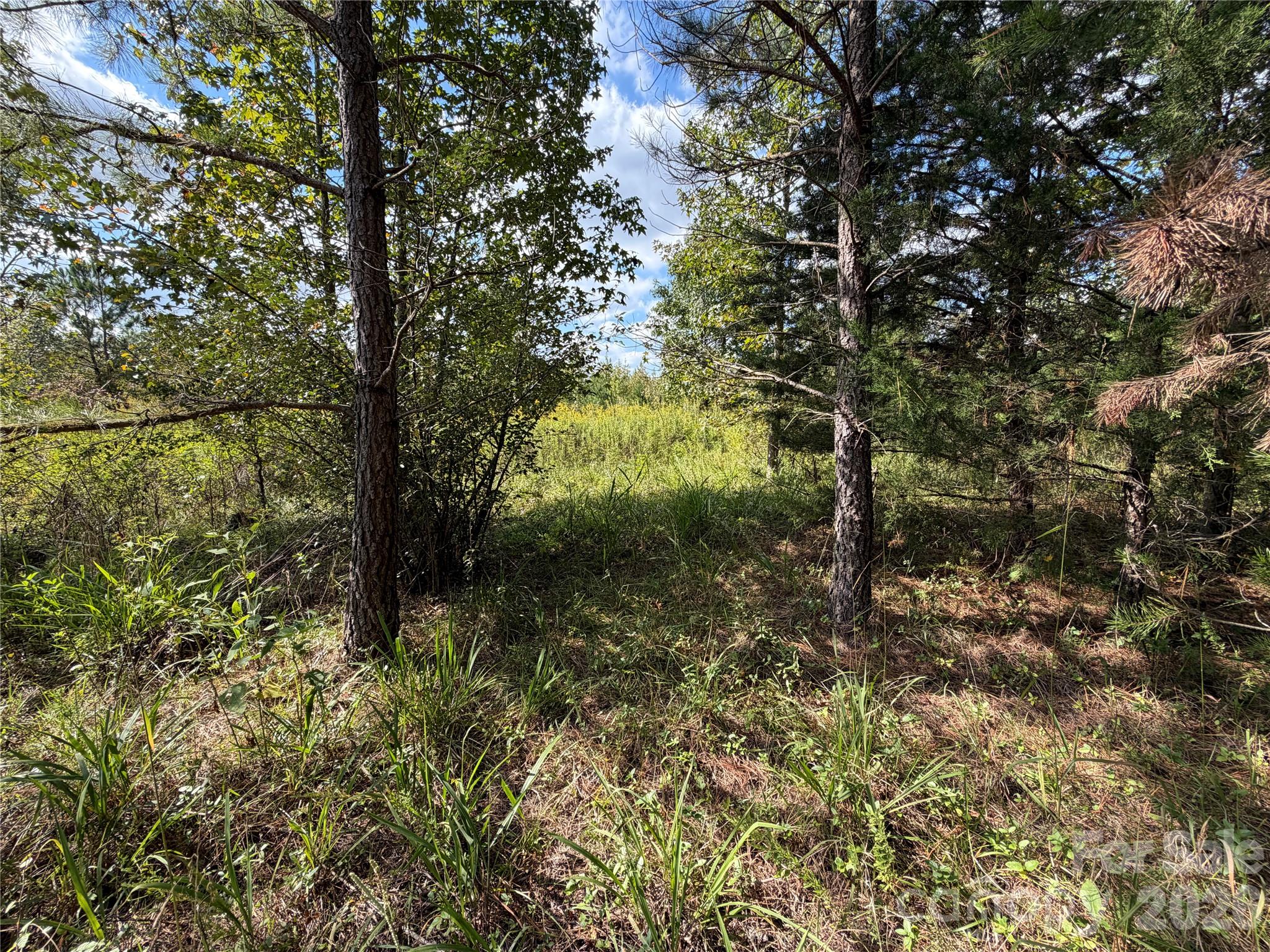 Acreage at 00 Jim Elliott Road, Shelby, photo 28 of 48