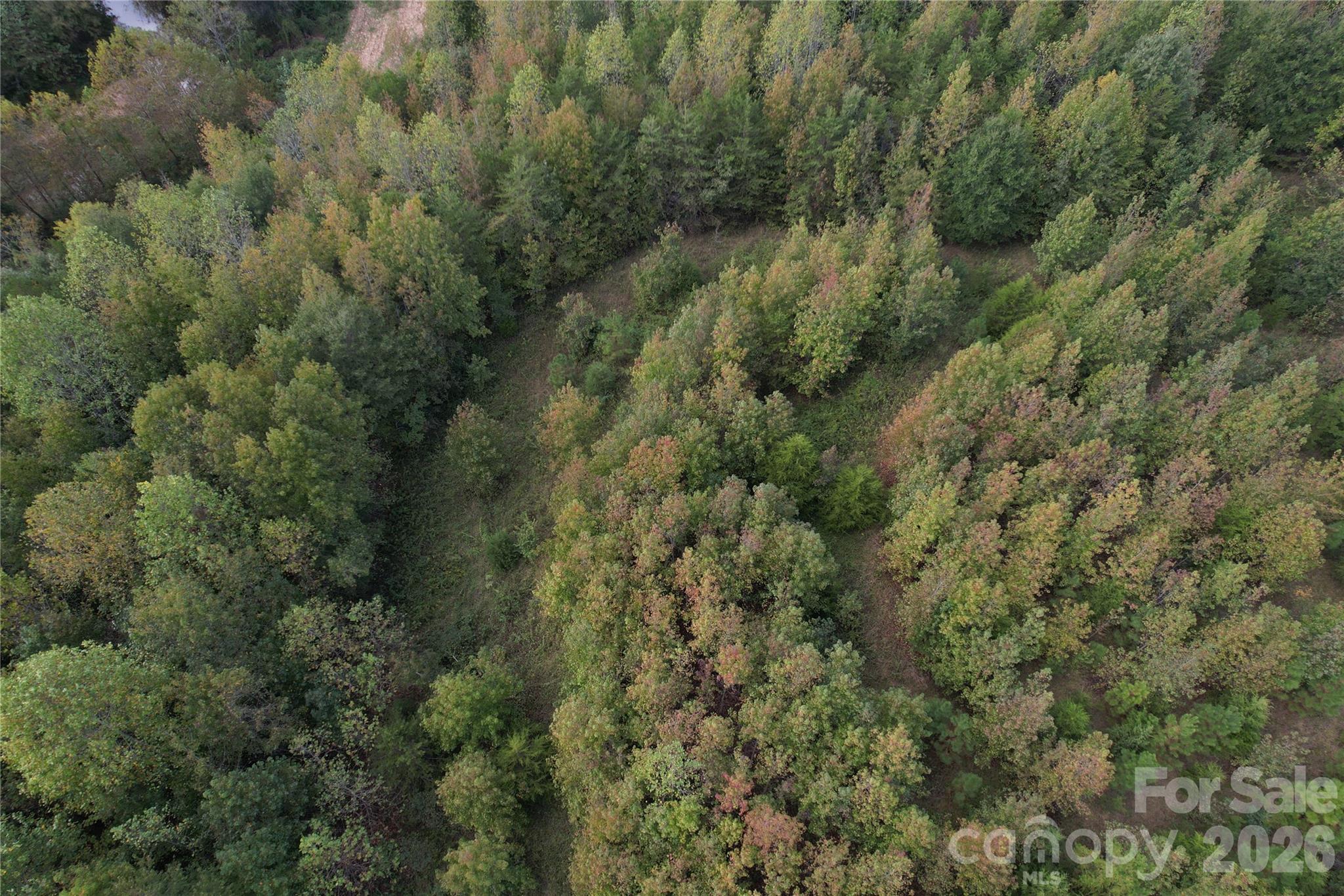 Acreage at 00 Jim Elliott Road, Shelby, photo 33 of 48