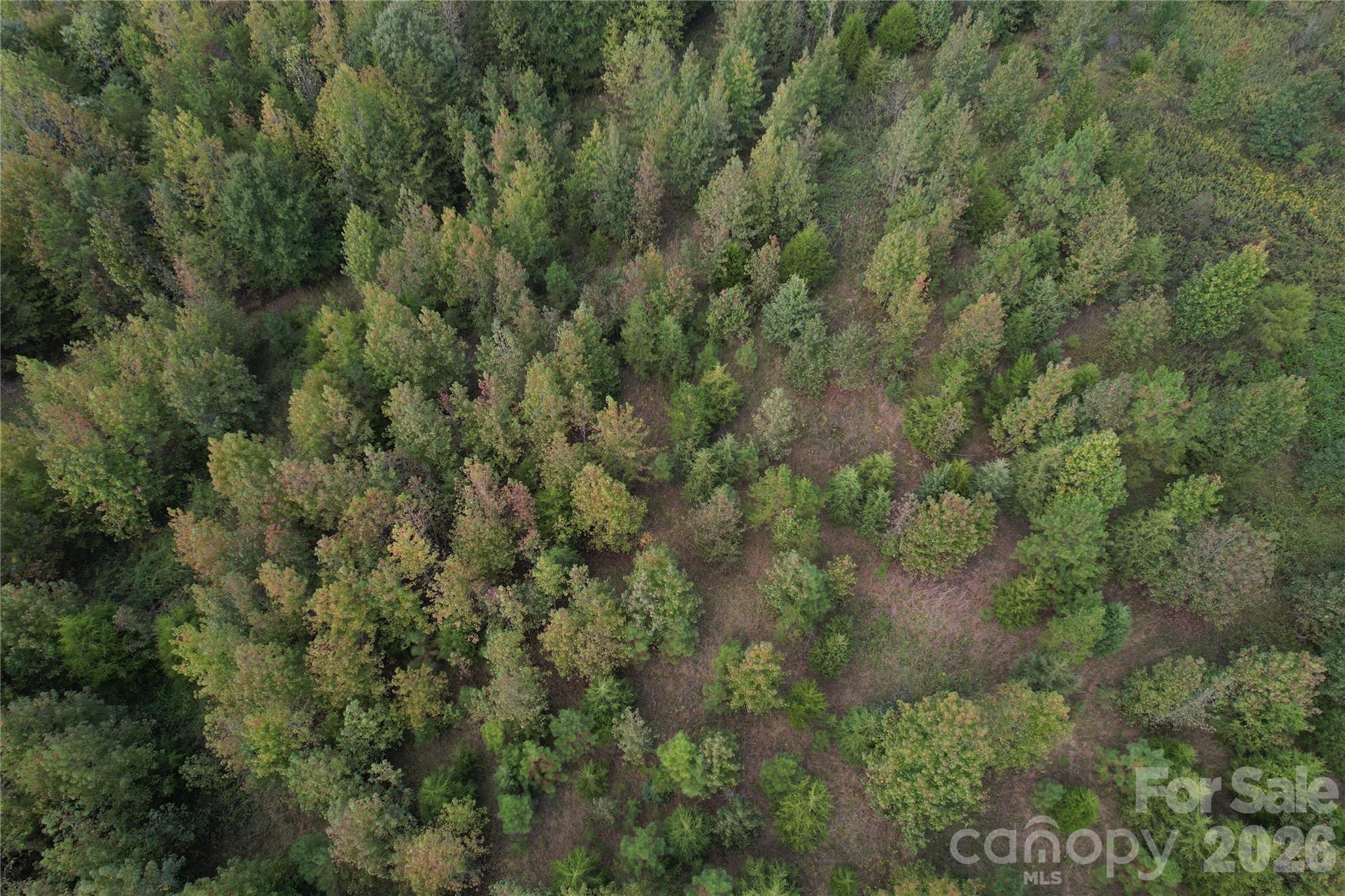 Acreage at 00 Jim Elliott Road, Shelby, photo 34 of 48