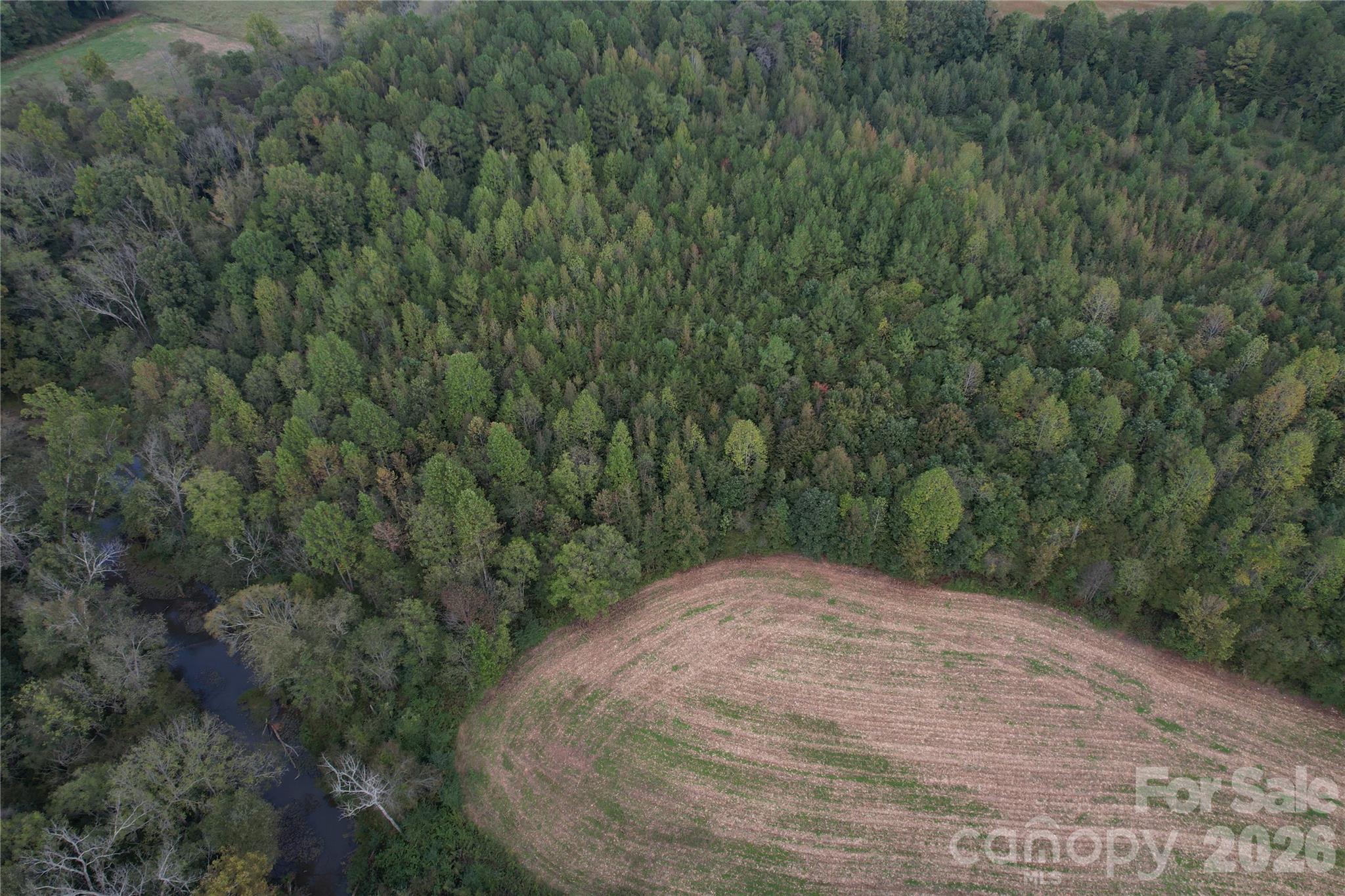 Acreage at 00 Jim Elliott Road, Shelby, photo 40 of 48