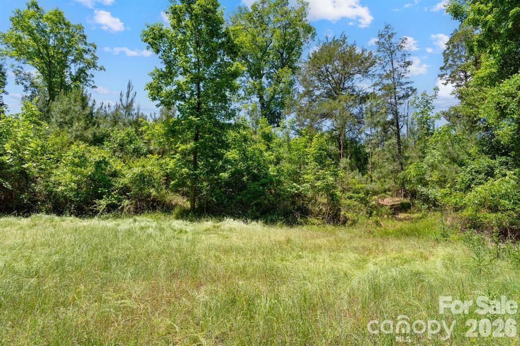 Acreage at 0000 Cool Branch Road, Carlisle, photo 19 of 21