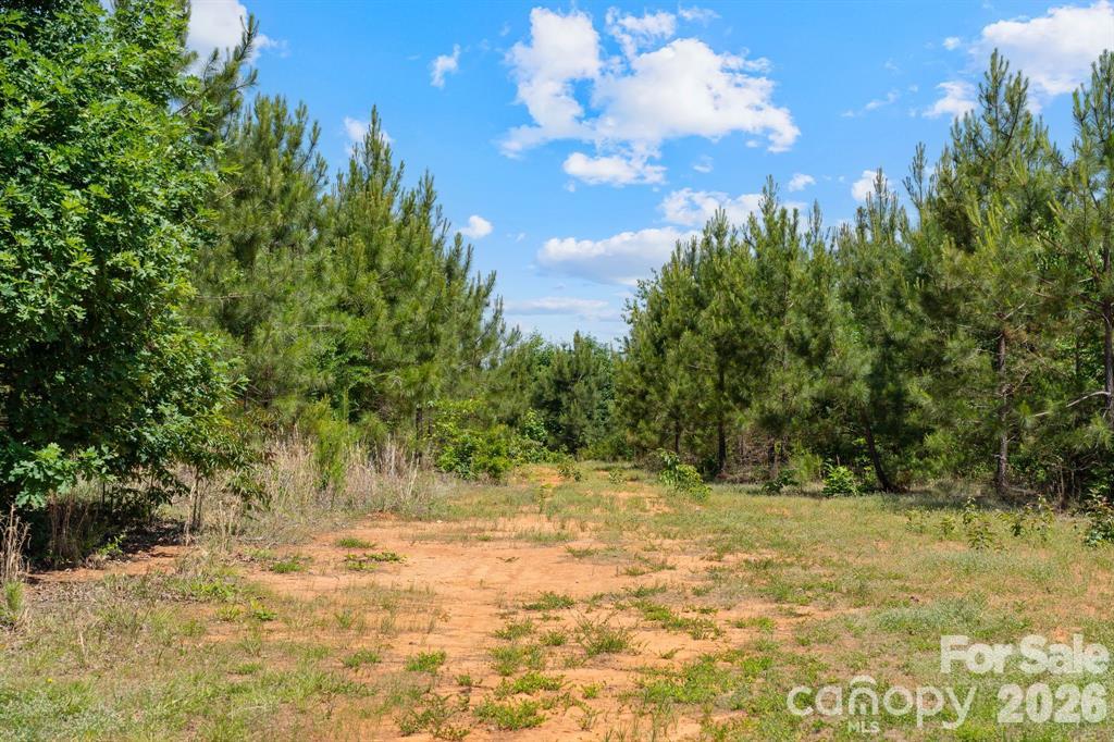 Acreage at 0000 Cool Branch Road, Carlisle, photo 20 of 21