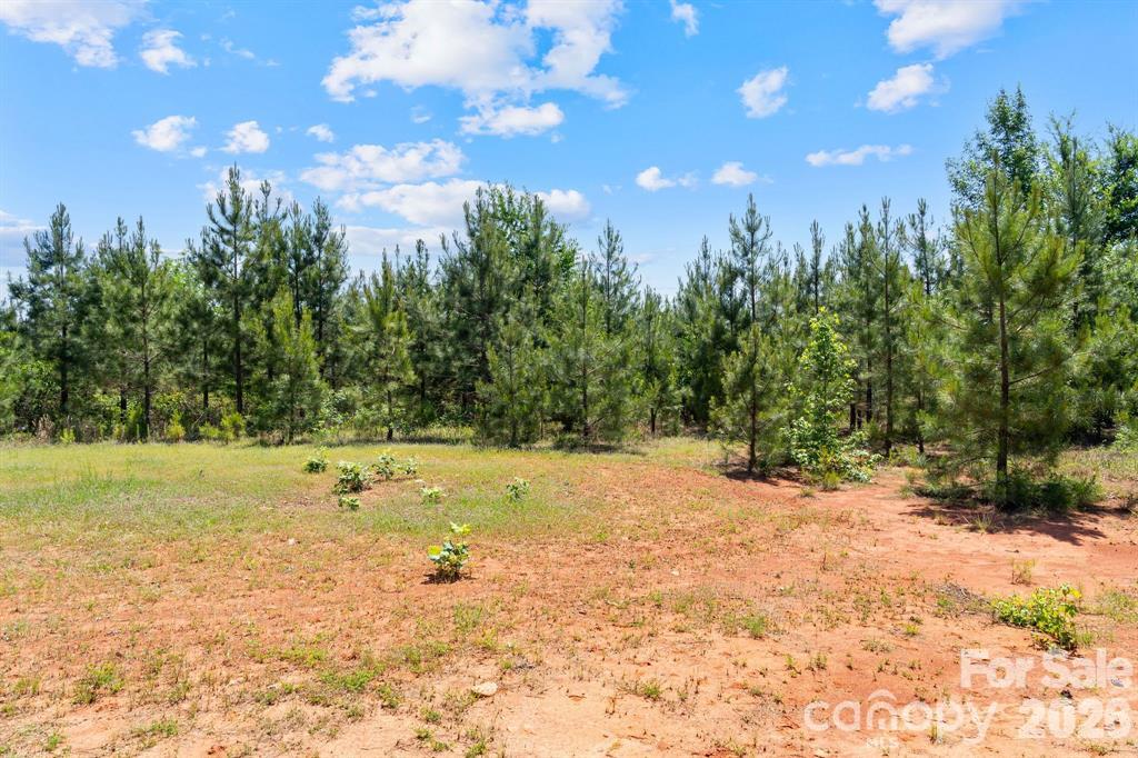 Acreage at 0000 Cool Branch Road, Carlisle, photo 21 of 21