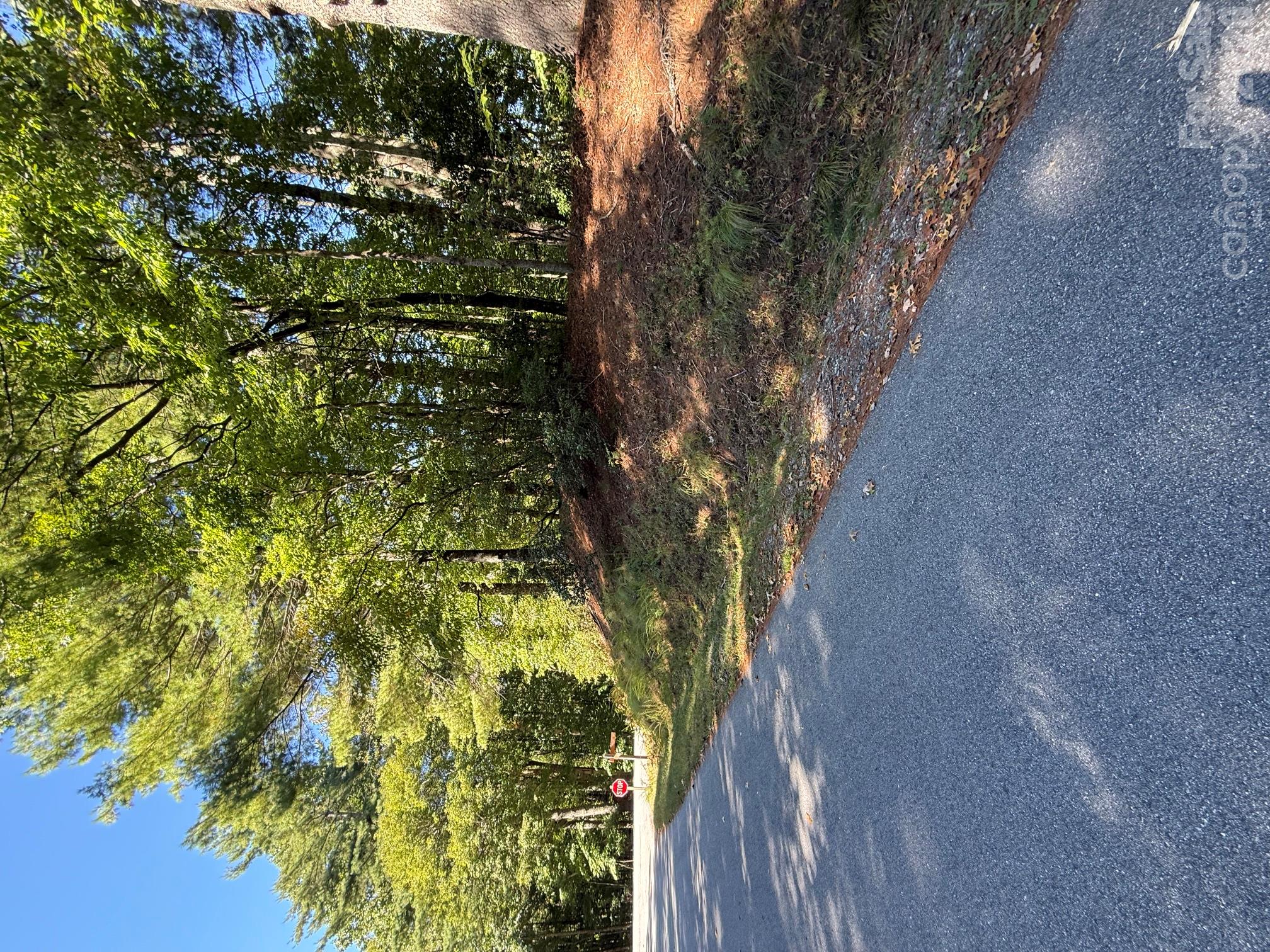 Lot at TBD U24 Lot19 Tlugvi Court, Brevard, photo 3 of 5