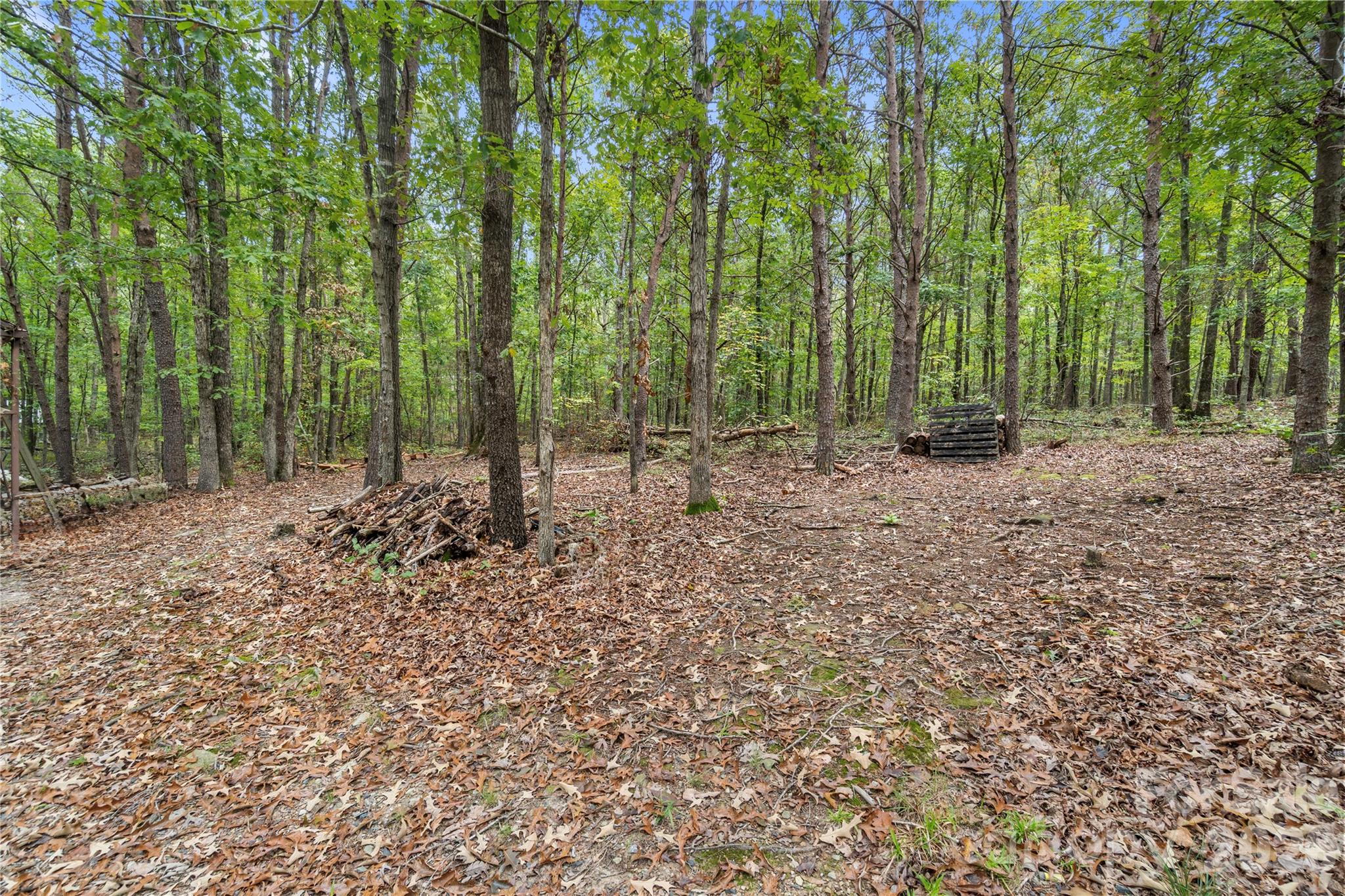 Backyard - 15810 Silver Road, Oakboro