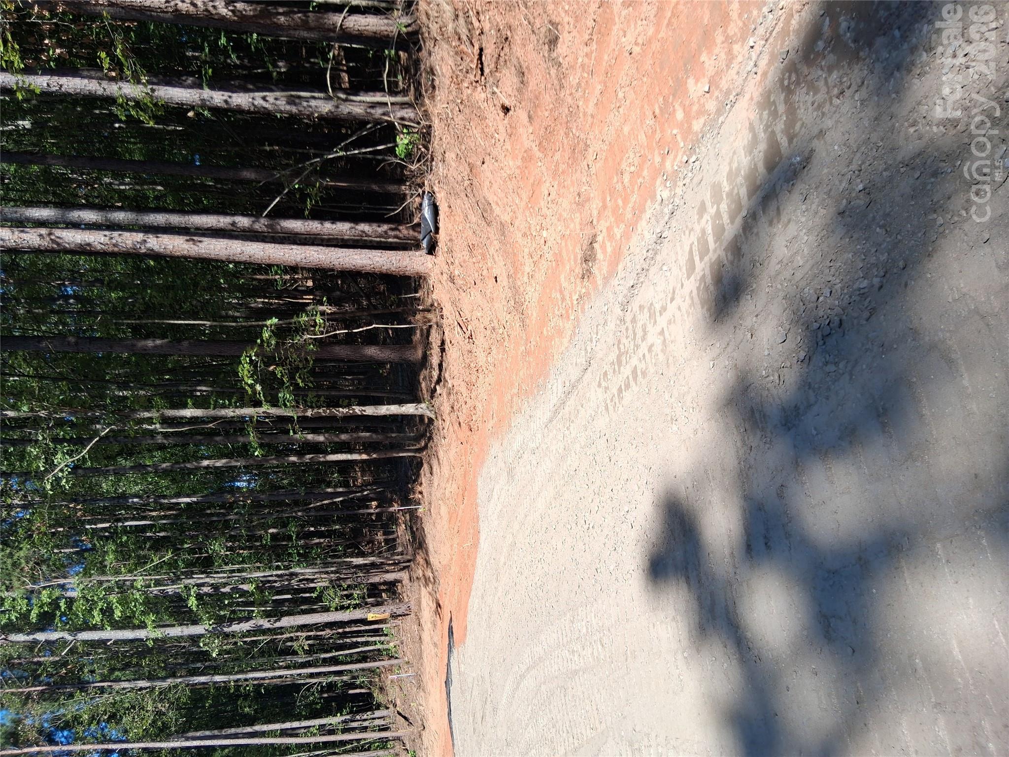 Lot at 96 Vein Mountain Road, Dysartsville, photo 6 of 18