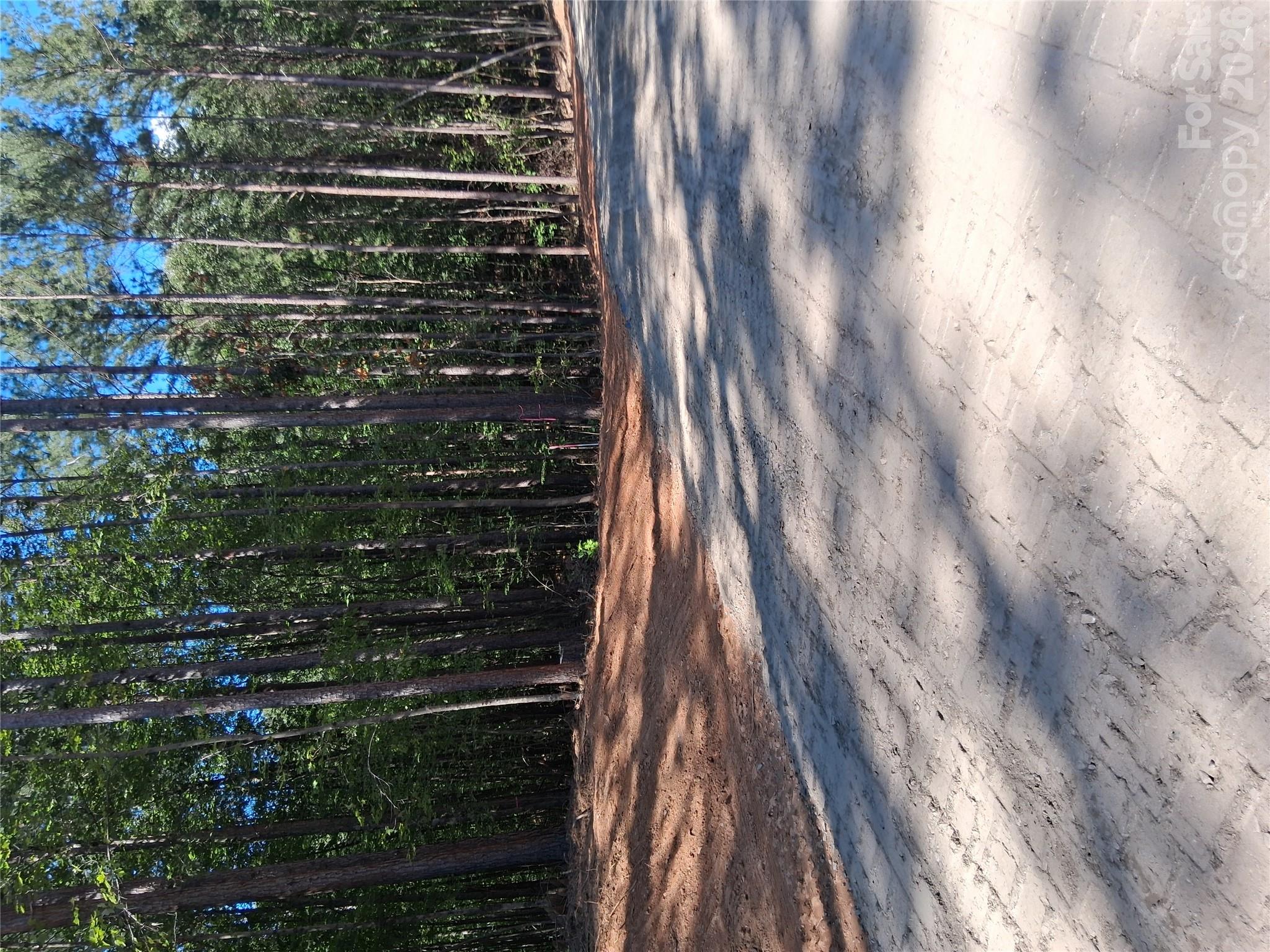 Lot at 96 Vein Mountain Road, Dysartsville, photo 7 of 18