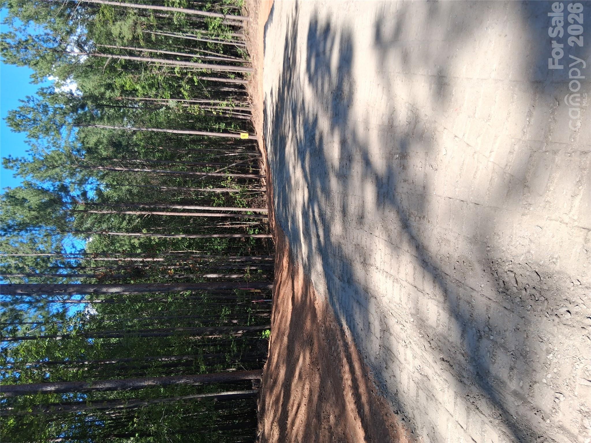 Lot at 96 Vein Mountain Road, Dysartsville, photo 8 of 18