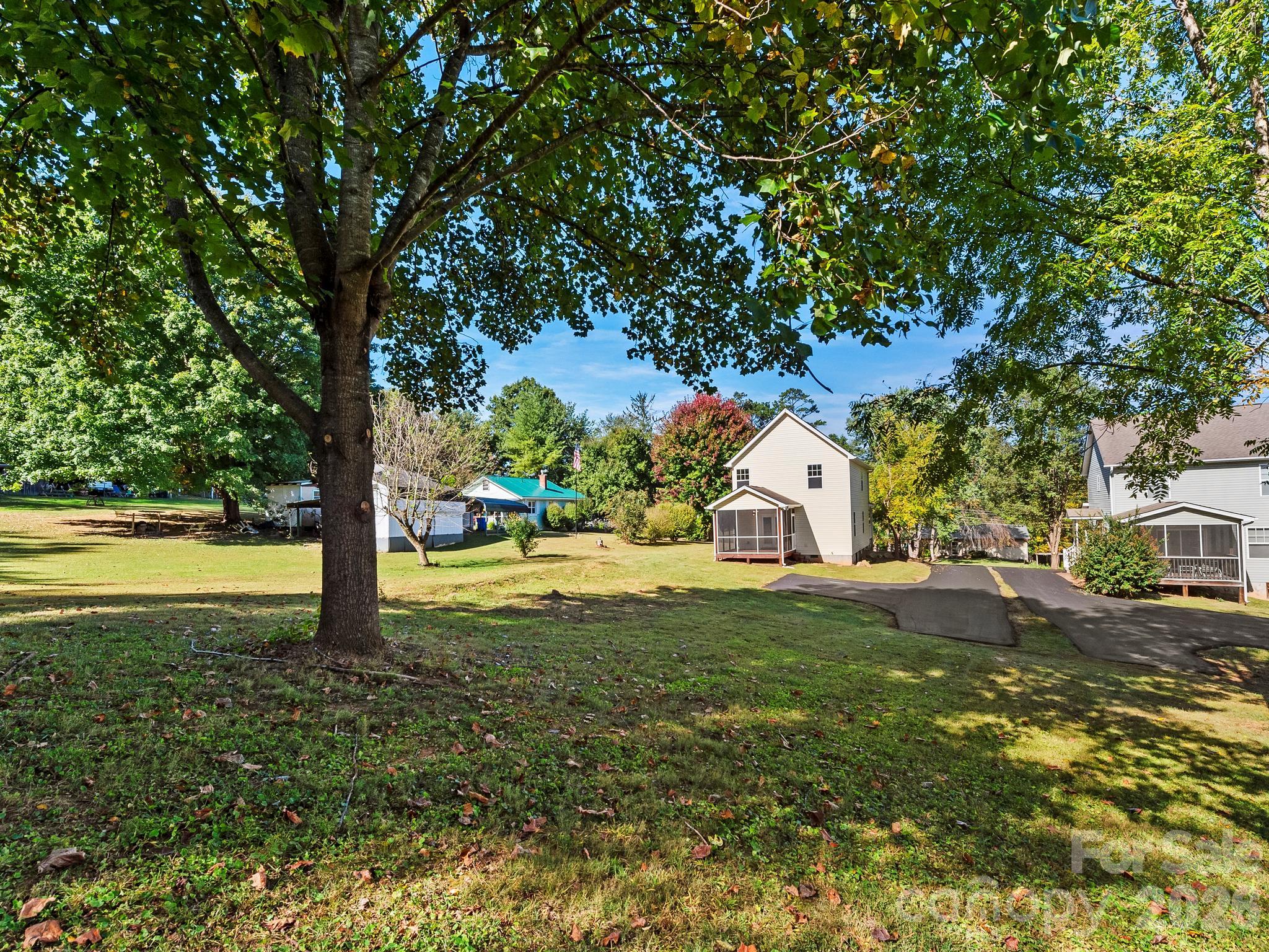 Large flat backyard - 81 Crayton Road, Asheville