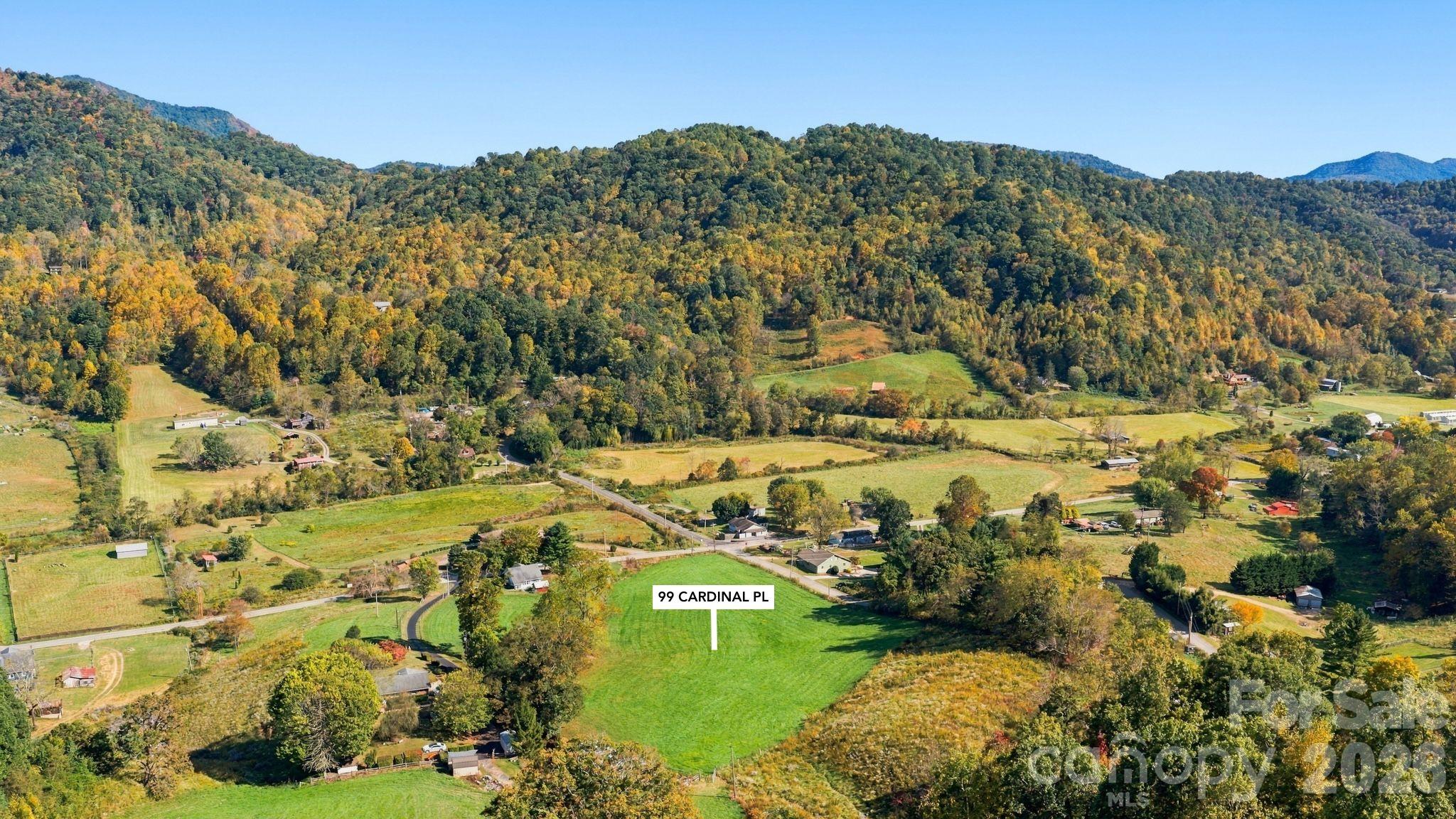 Acreage at 000 Beaverdam Road, Canton, photo 11 of 13