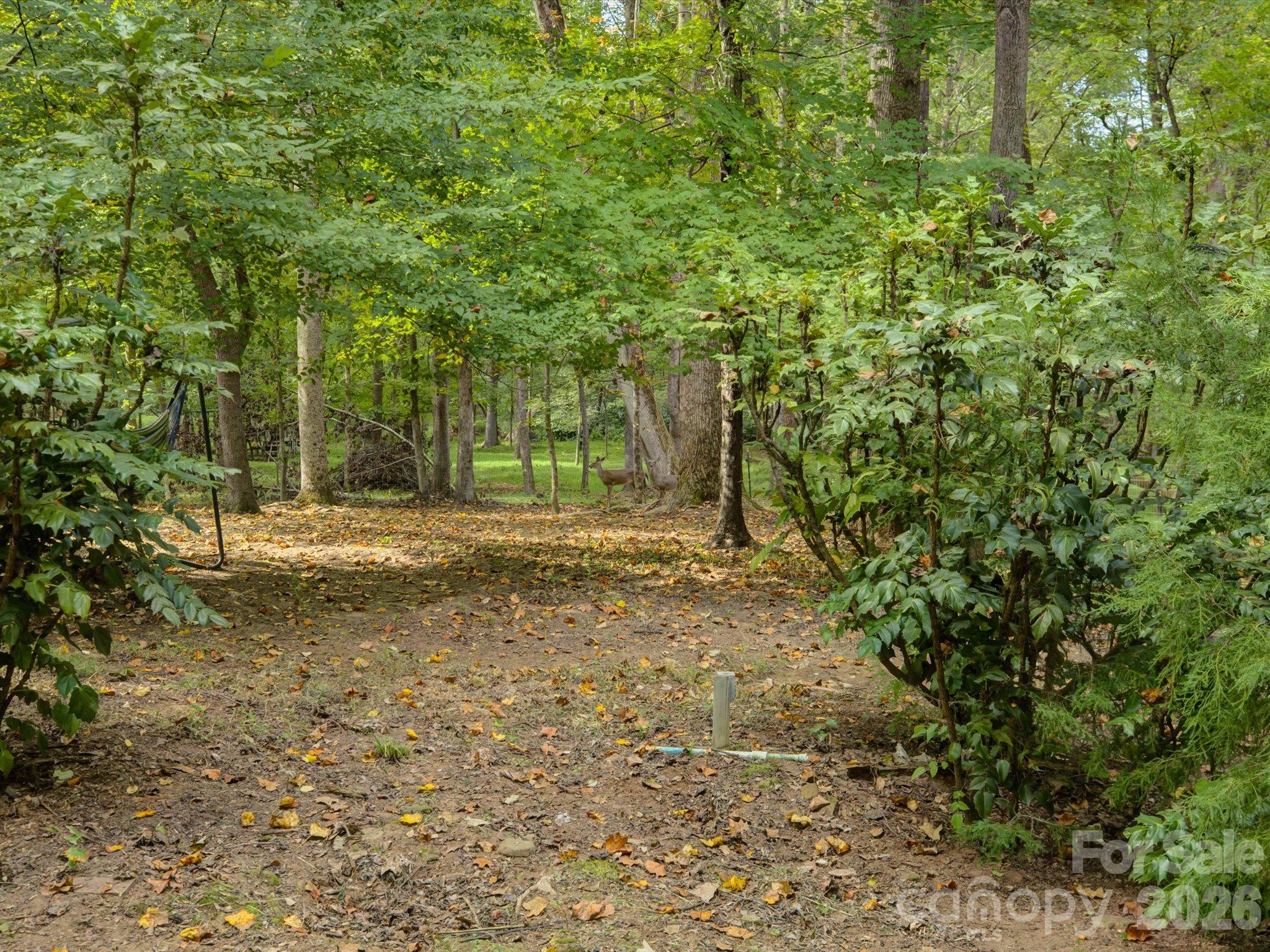 Single Family Residence at 9207 Rainbow Forest Drive, Charlotte, photo 43 of 47