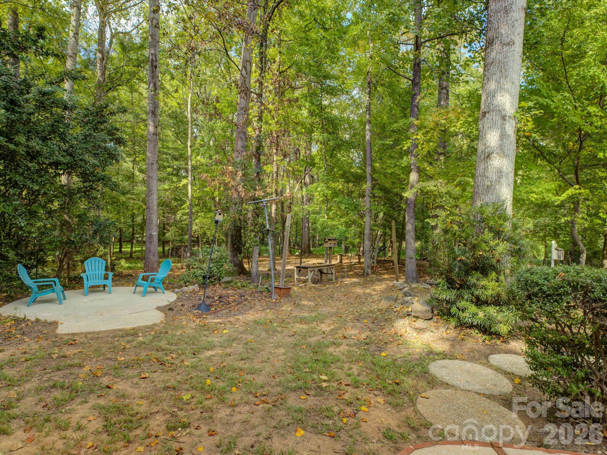 Single Family Residence at 9207 Rainbow Forest Drive, Charlotte, photo 47 of 47