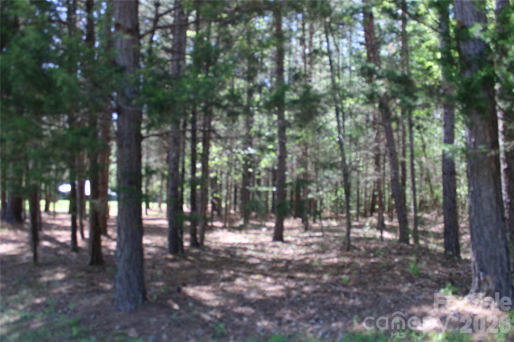 Acreage at 5264 Battleground Road, Kings Mountain, photo 3 of 16