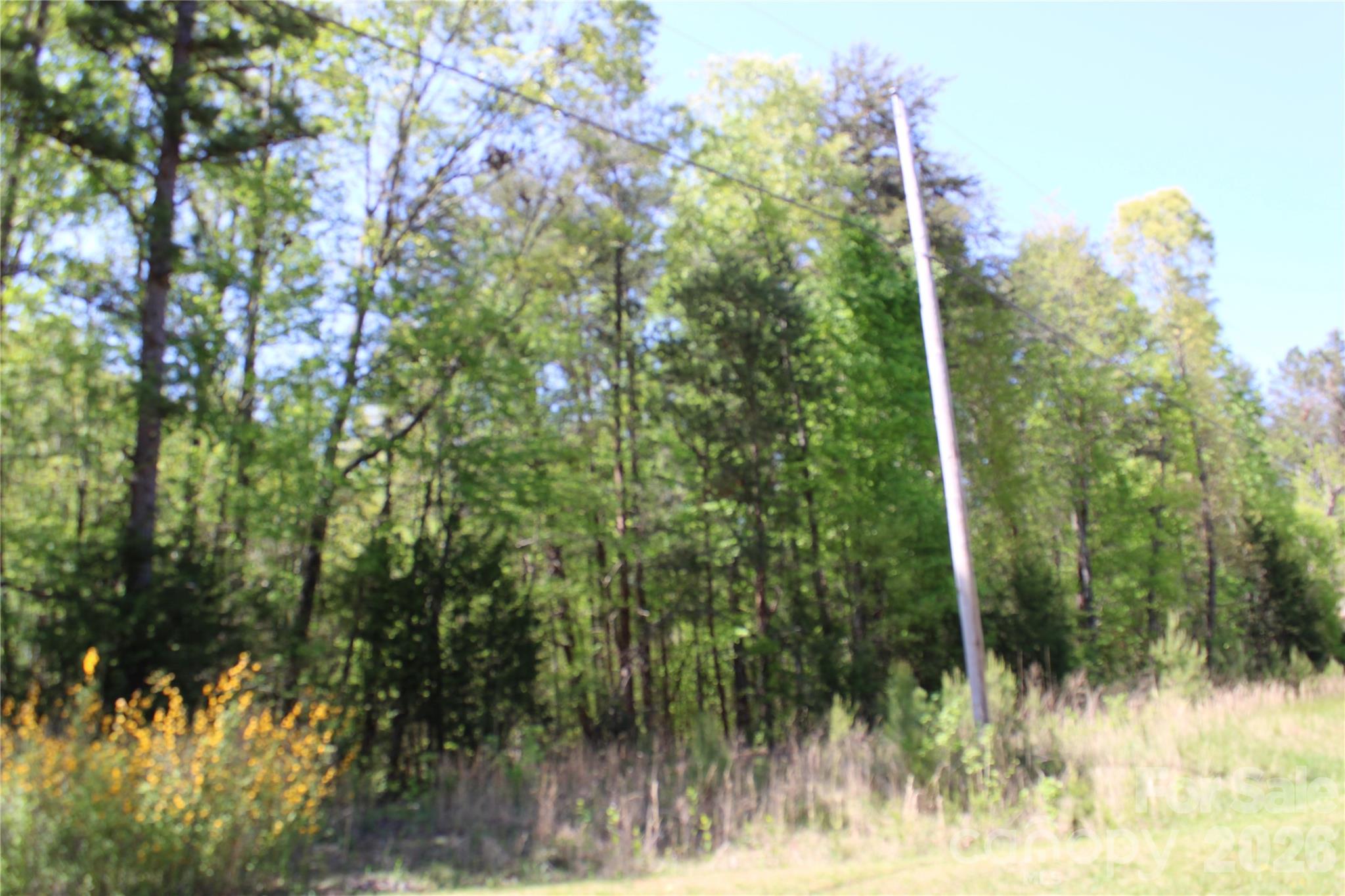 Acreage at 5264 Battleground Road, Kings Mountain, photo 5 of 16