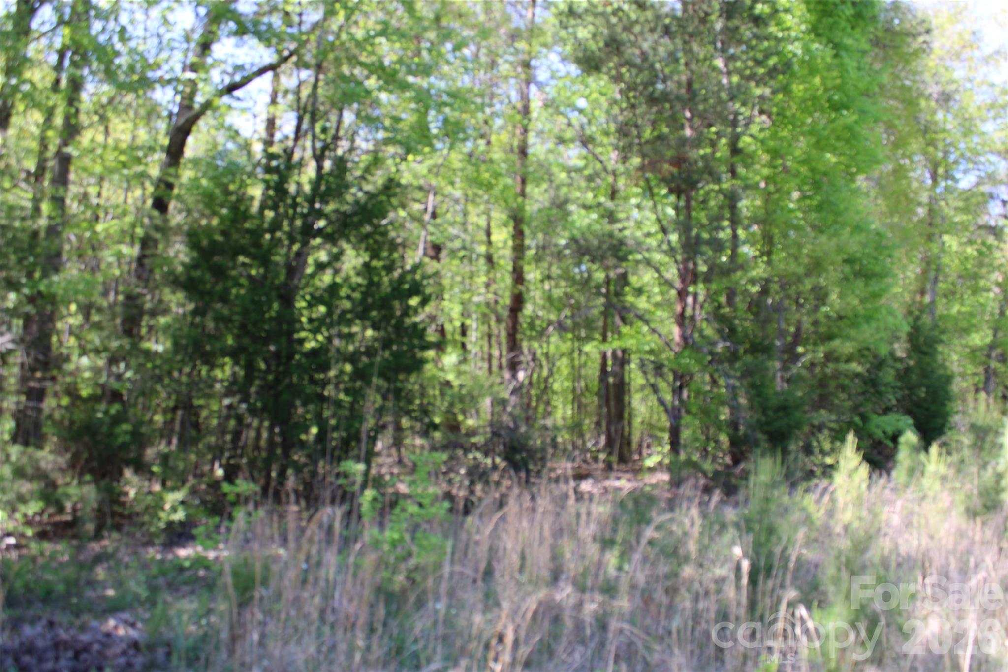 Acreage at 5264 Battleground Road, Kings Mountain, photo 7 of 16