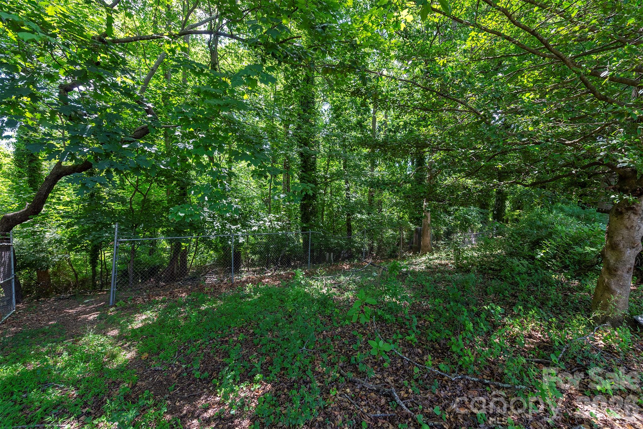 Lot at 30 and 34 Harnett Street, Asheville, photo 10 of 12
