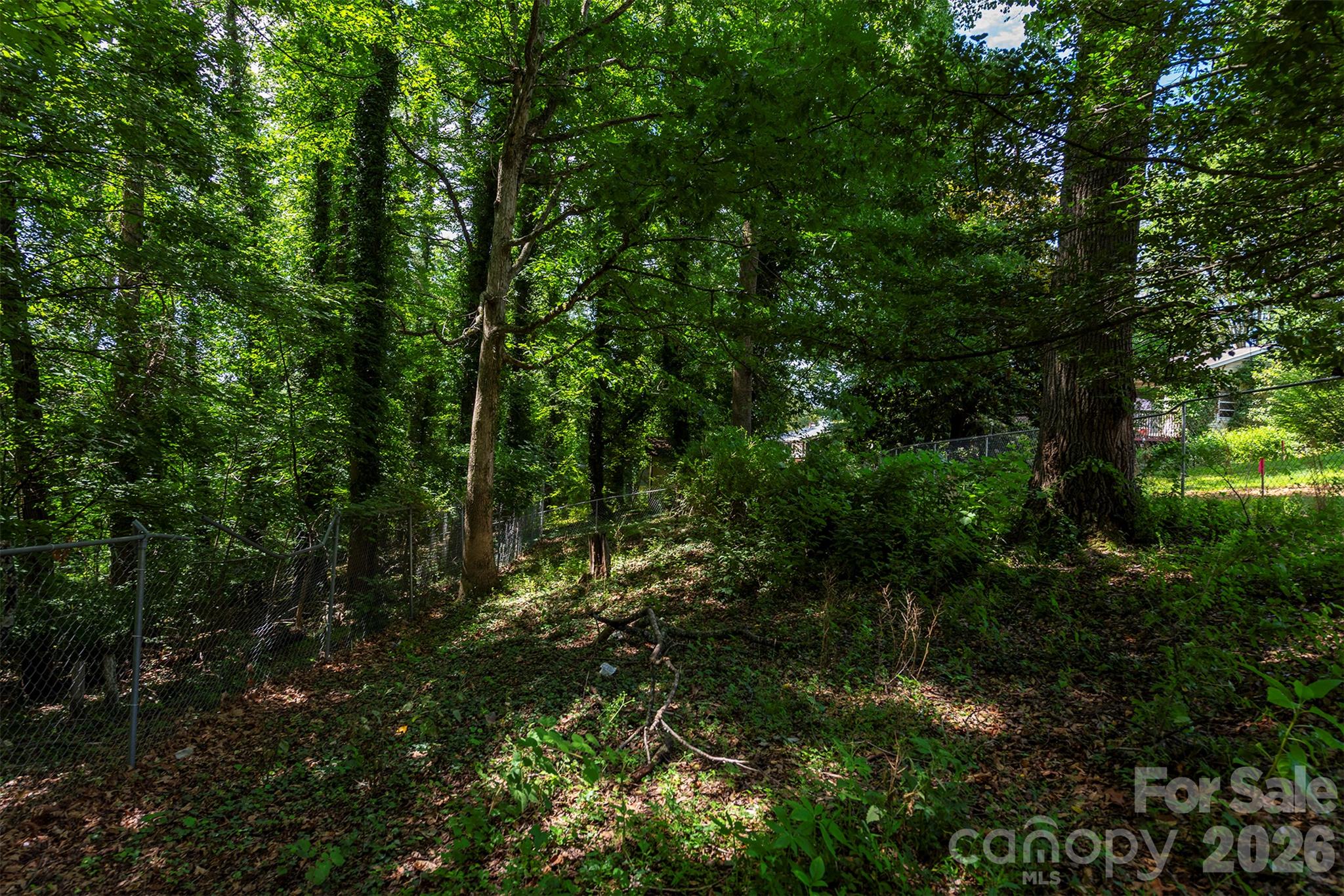 Lot at 30 and 34 Harnett Street, Asheville, photo 12 of 12