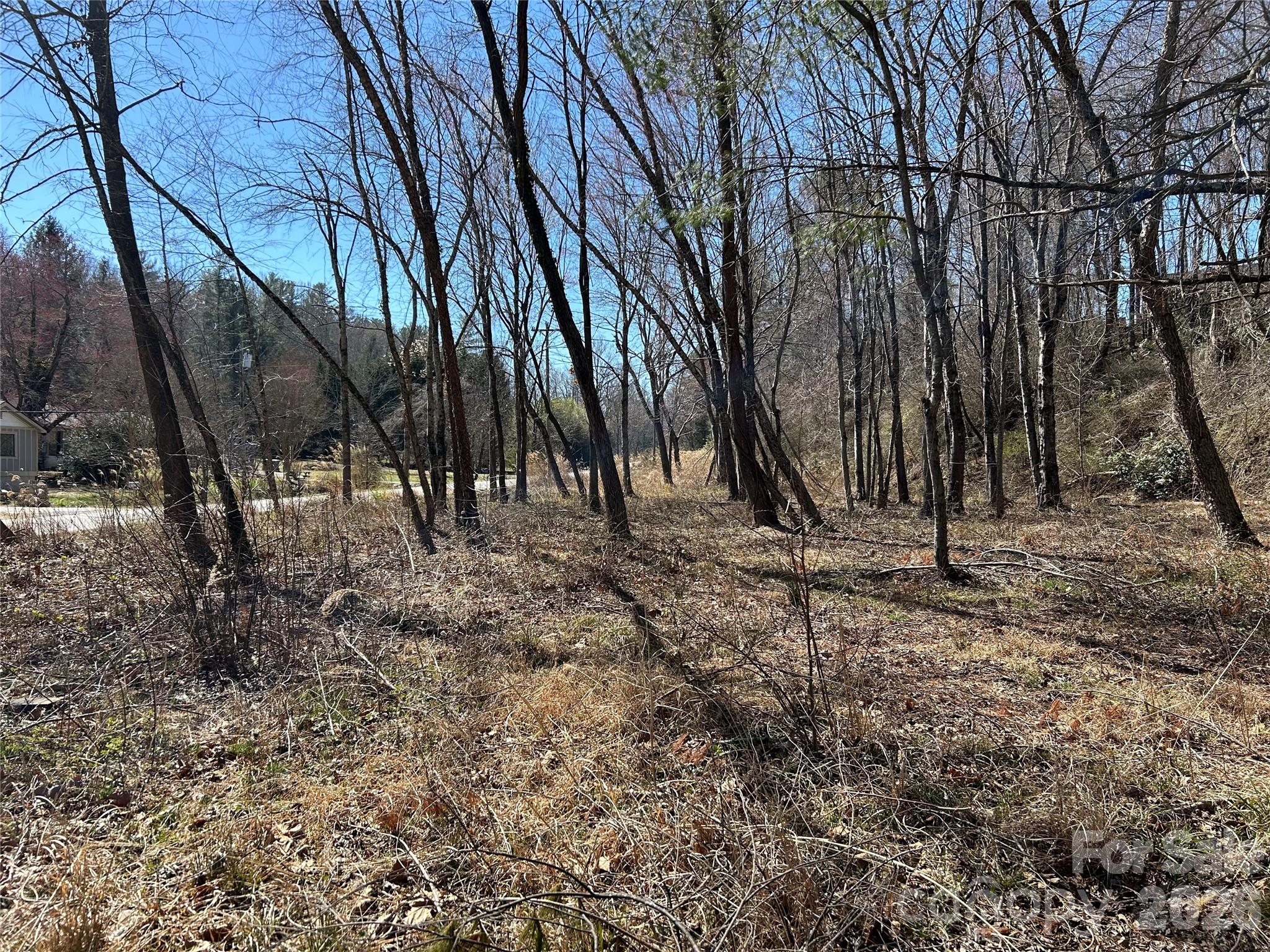 Unimproved Commercial at 0 US 64 Highway, Hendersonville, photo 4 of 21