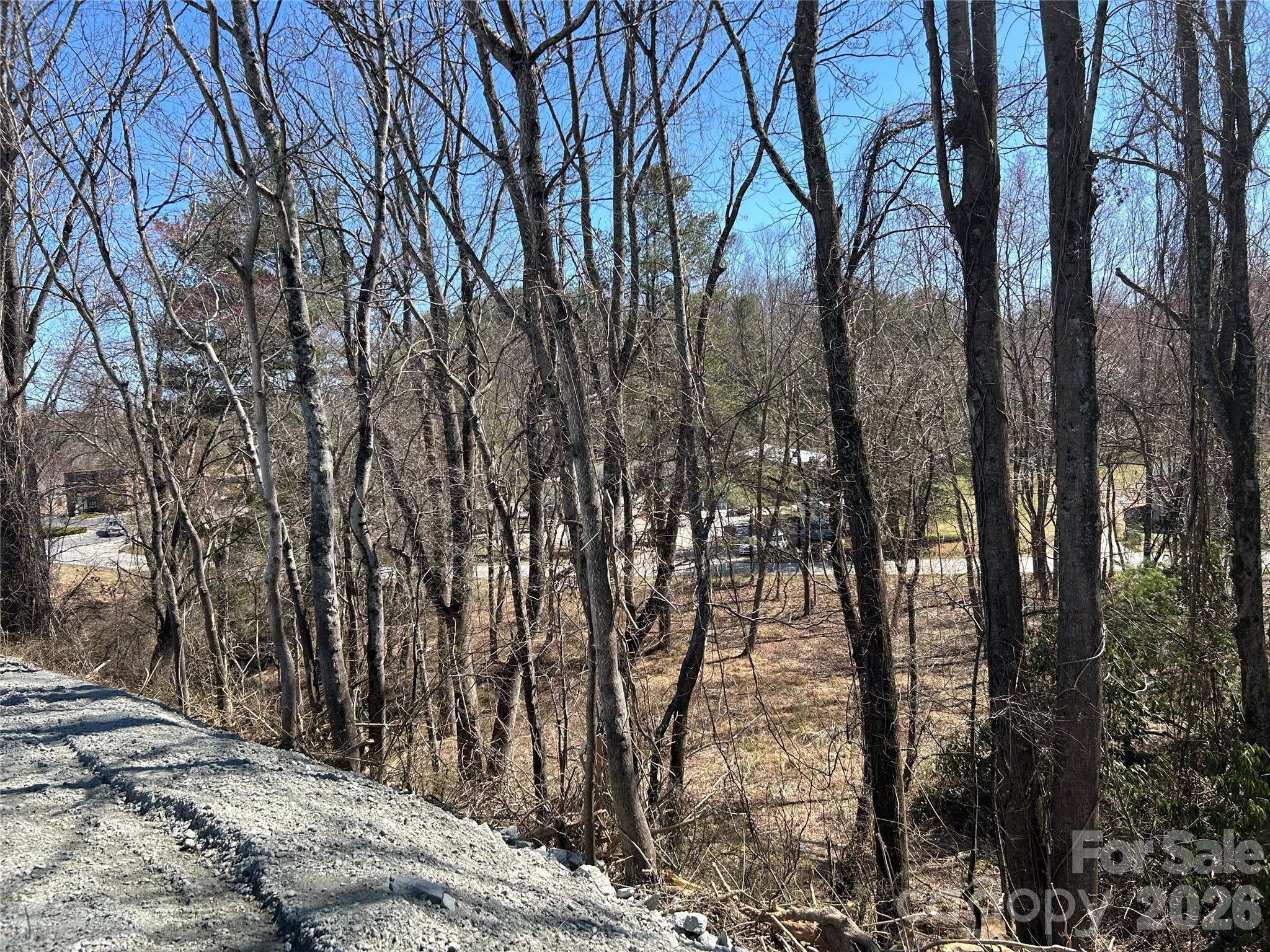 Unimproved Commercial at 0 US 64 Highway, Hendersonville, photo 7 of 21