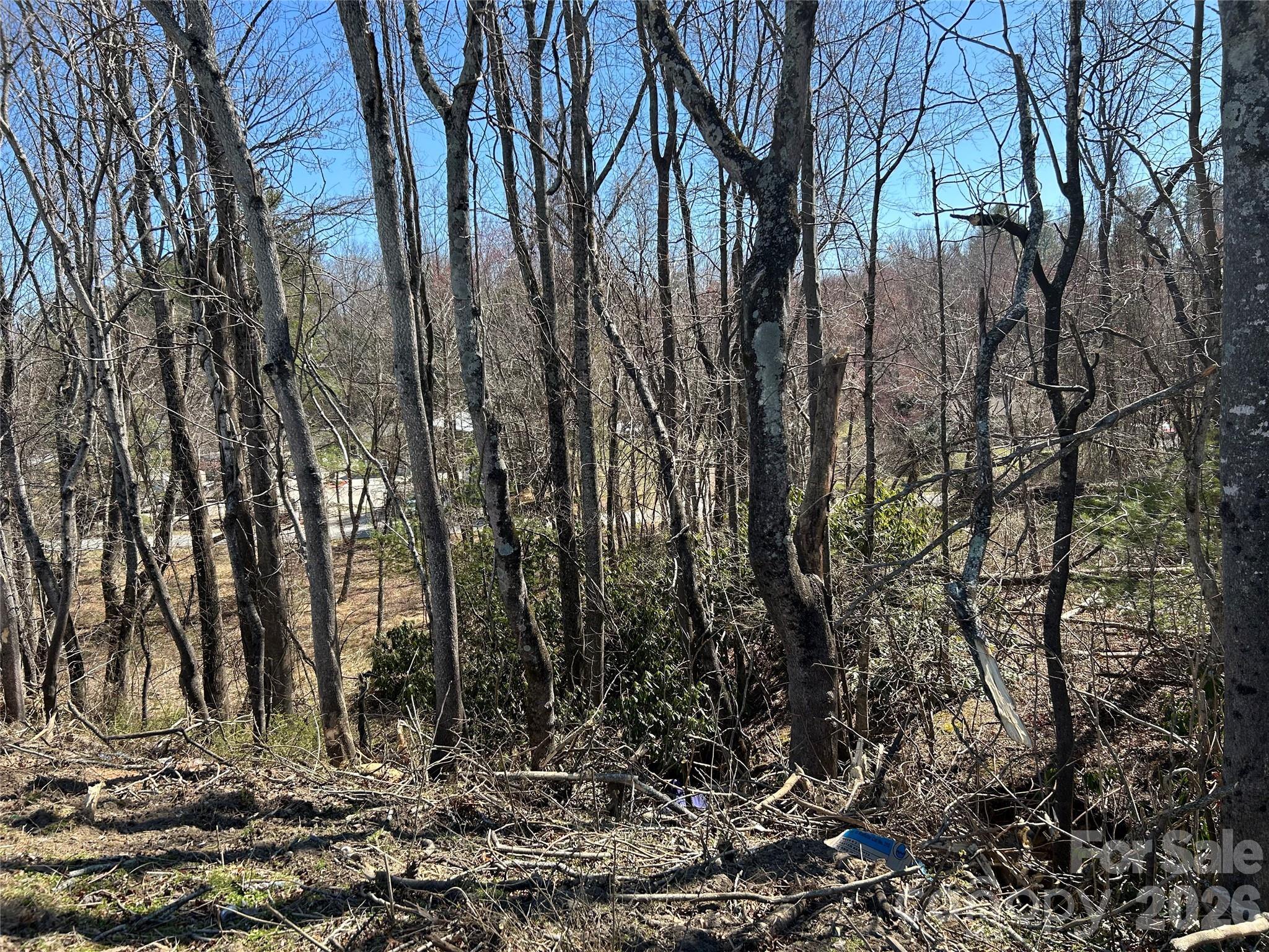 Unimproved Commercial at 0 US 64 Highway, Hendersonville, photo 8 of 21