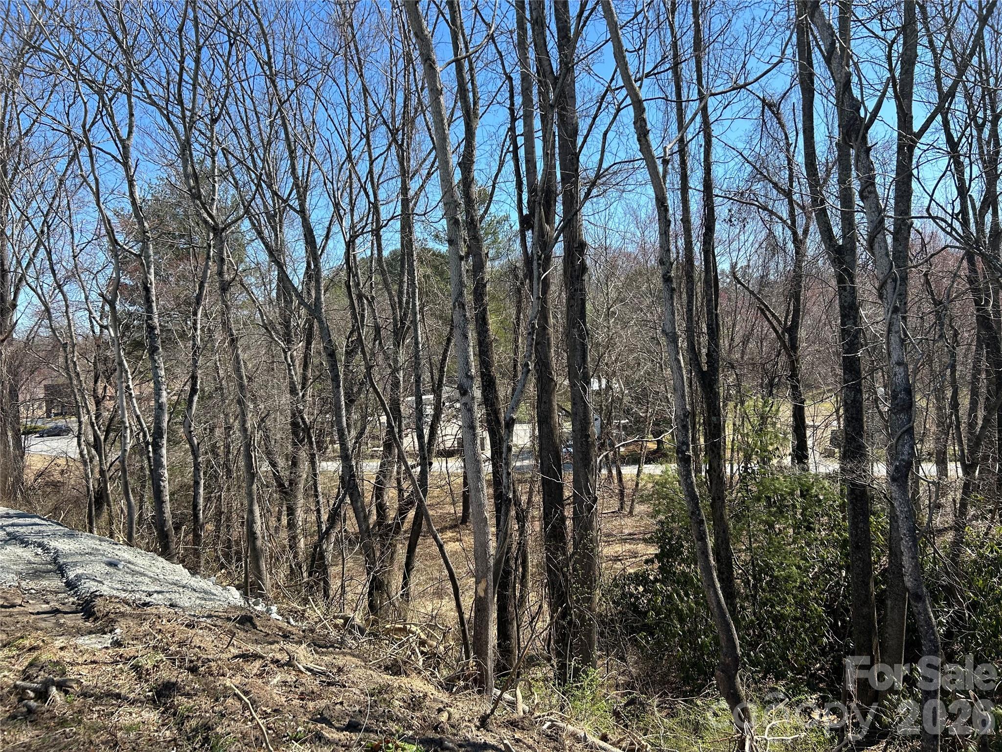 Unimproved Commercial at 0 US 64 Highway, Hendersonville, photo 9 of 21