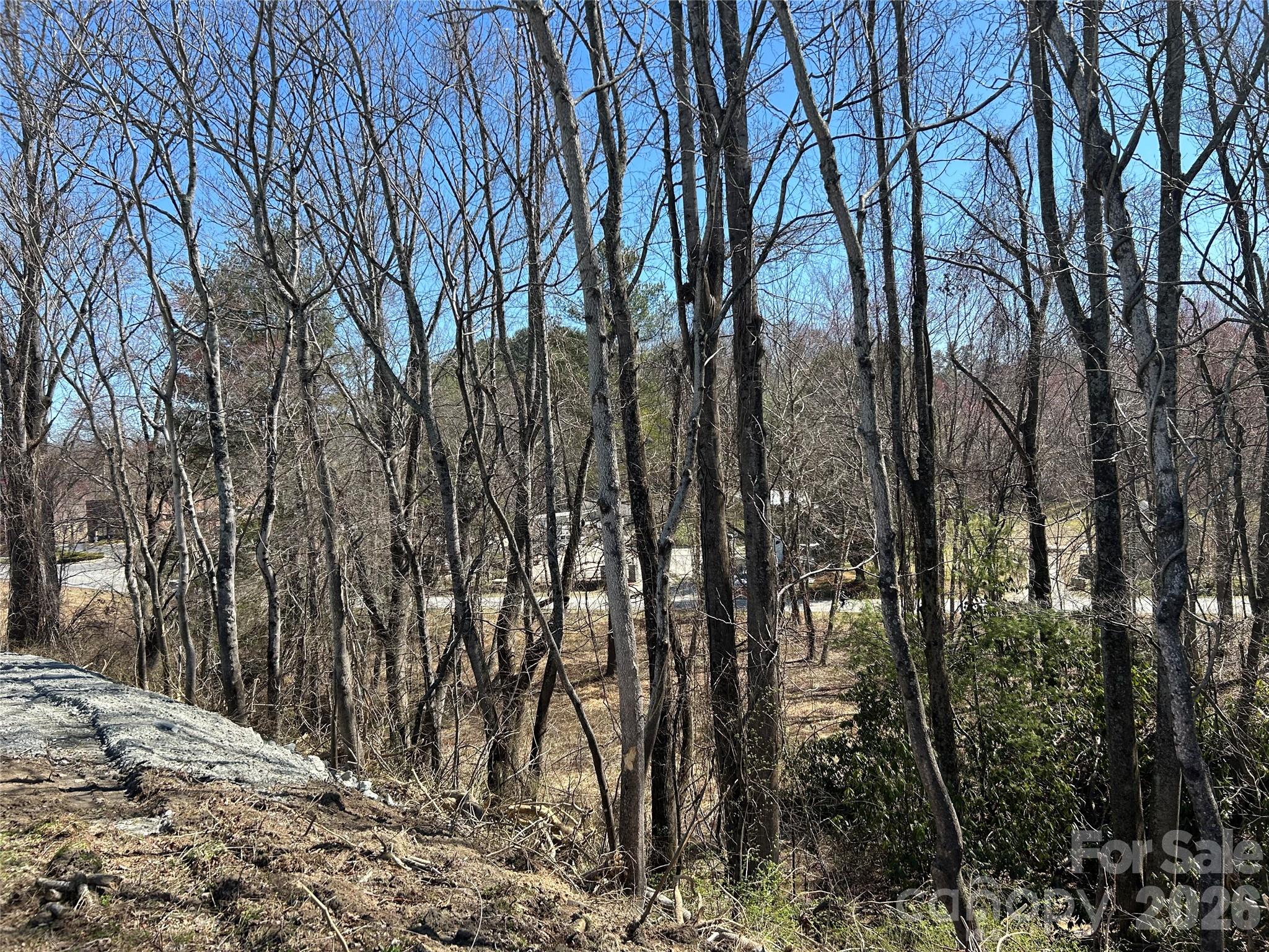 Unimproved Commercial at 0 US 64 Highway, Hendersonville, photo 10 of 21
