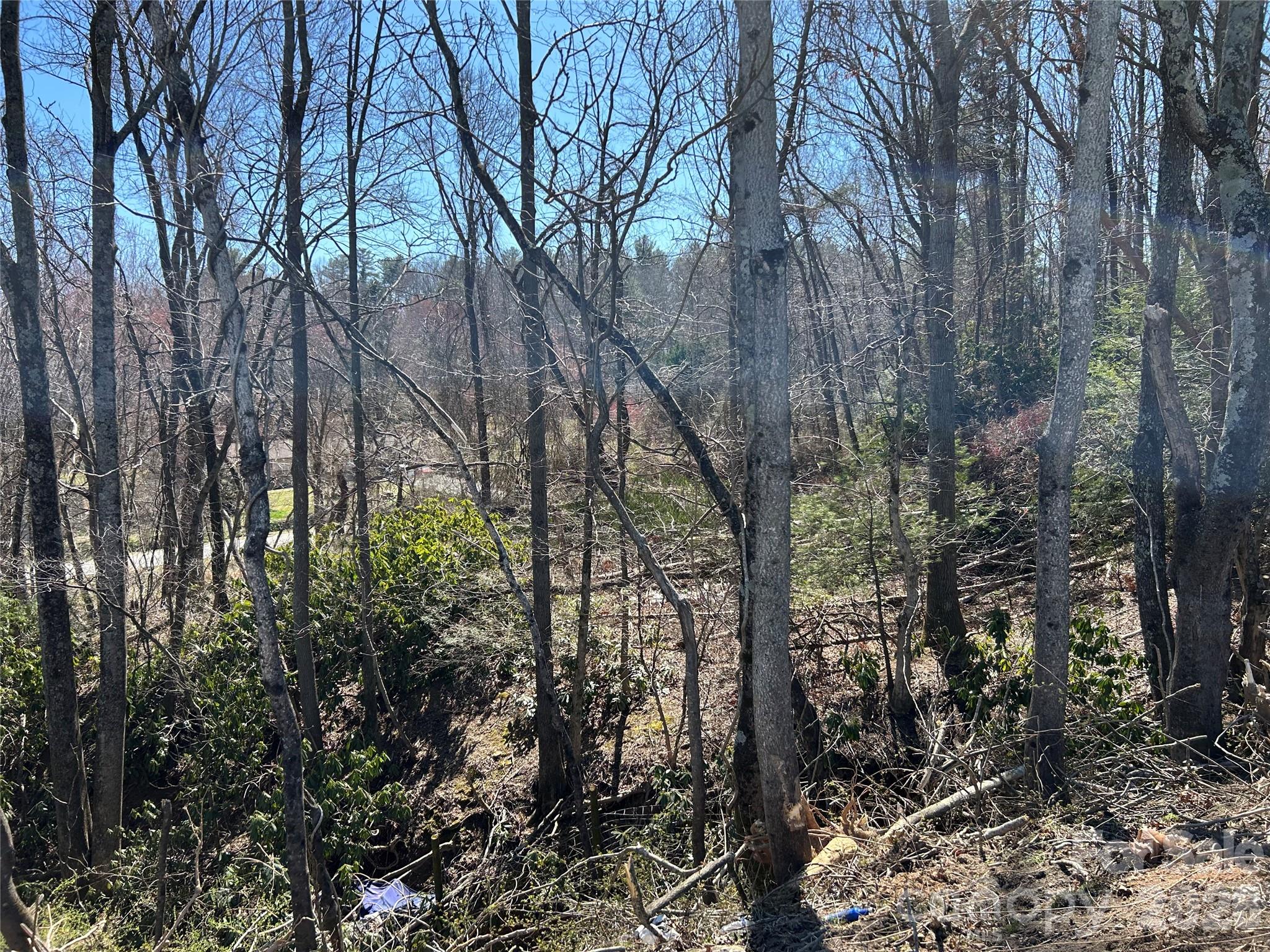 Unimproved Commercial at 0 US 64 Highway, Hendersonville, photo 11 of 21