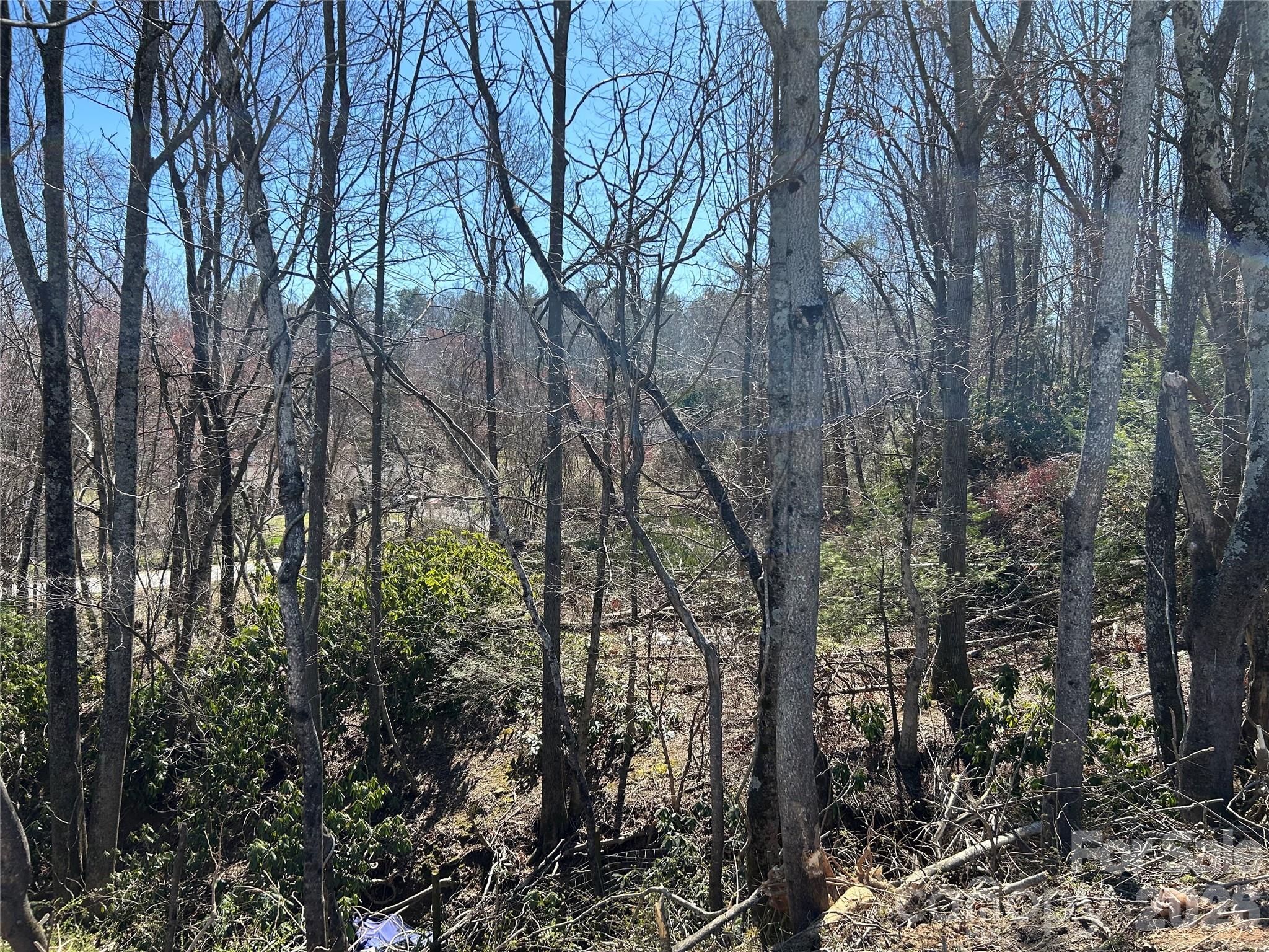 Unimproved Commercial at 0 US 64 Highway, Hendersonville, photo 12 of 21
