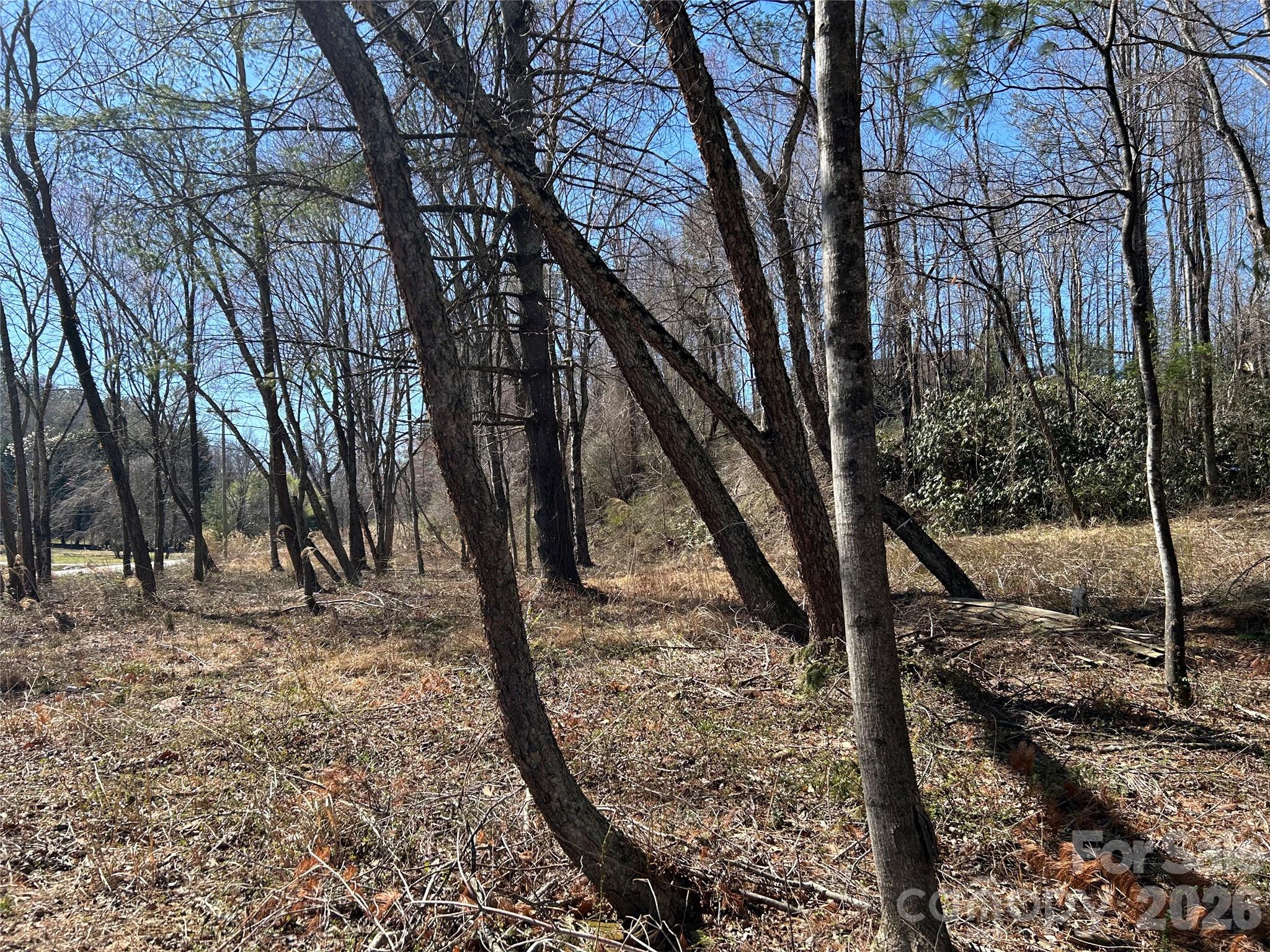 Unimproved Commercial at 0 US 64 Highway, Hendersonville, photo 17 of 21