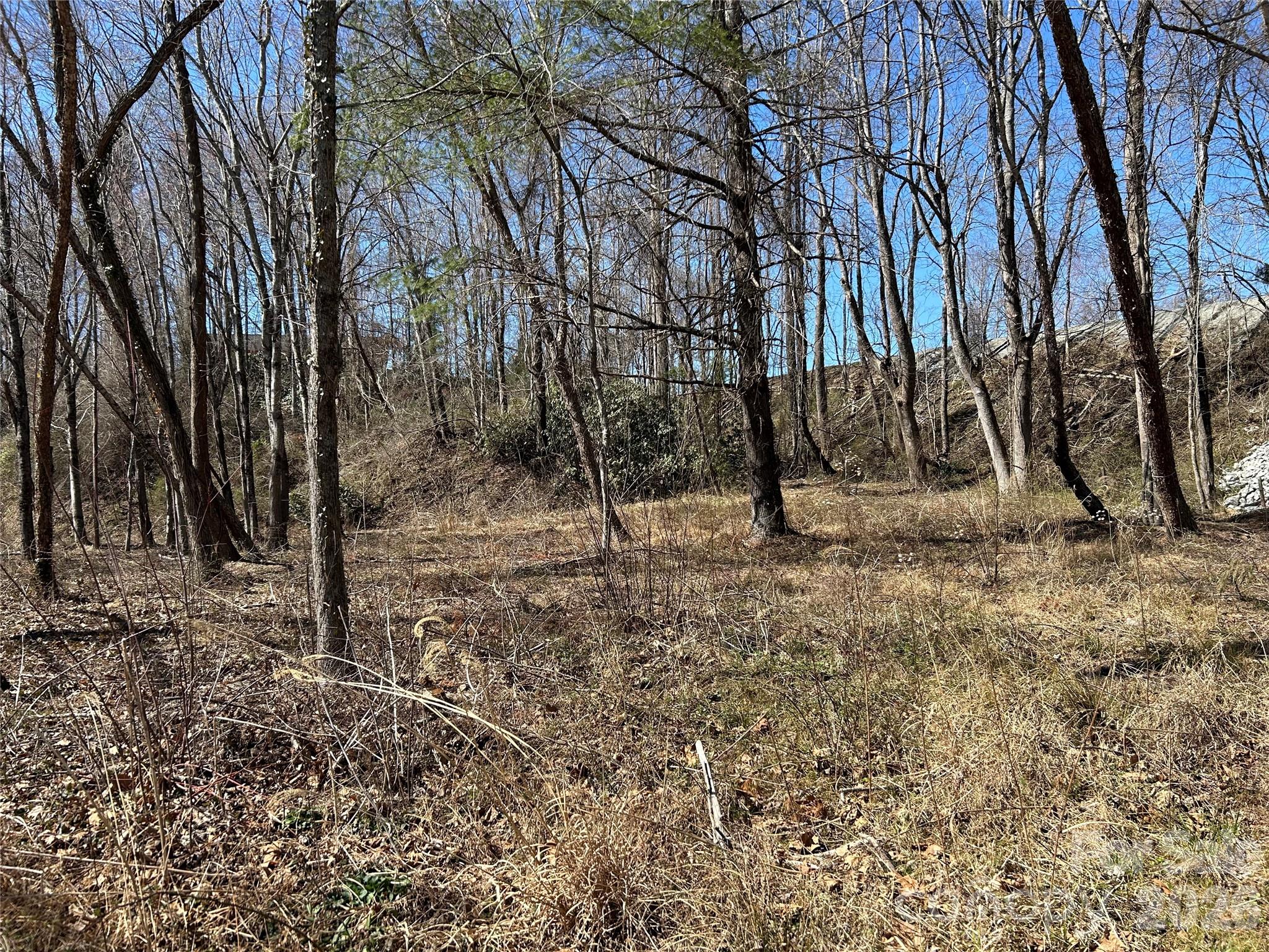 Unimproved Commercial at 0 US 64 Highway, Hendersonville, photo 19 of 21