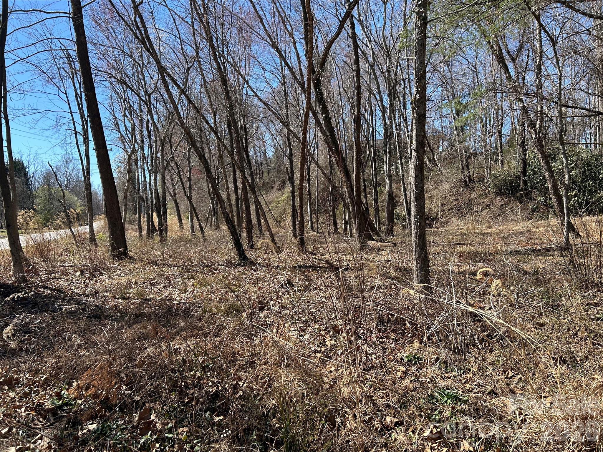 Unimproved Commercial at 0 US 64 Highway, Hendersonville, photo 20 of 21