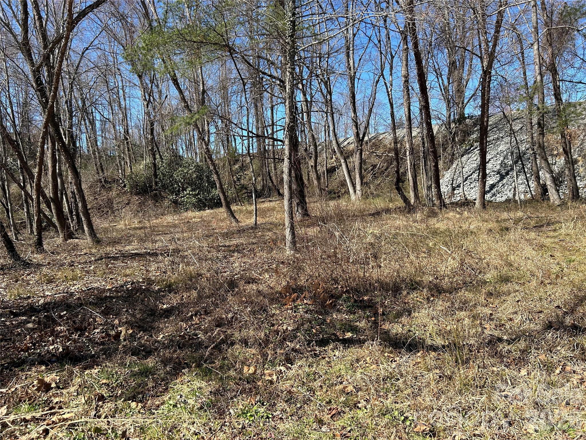 Unimproved Commercial at 0 US 64 Highway, Hendersonville, photo 21 of 21