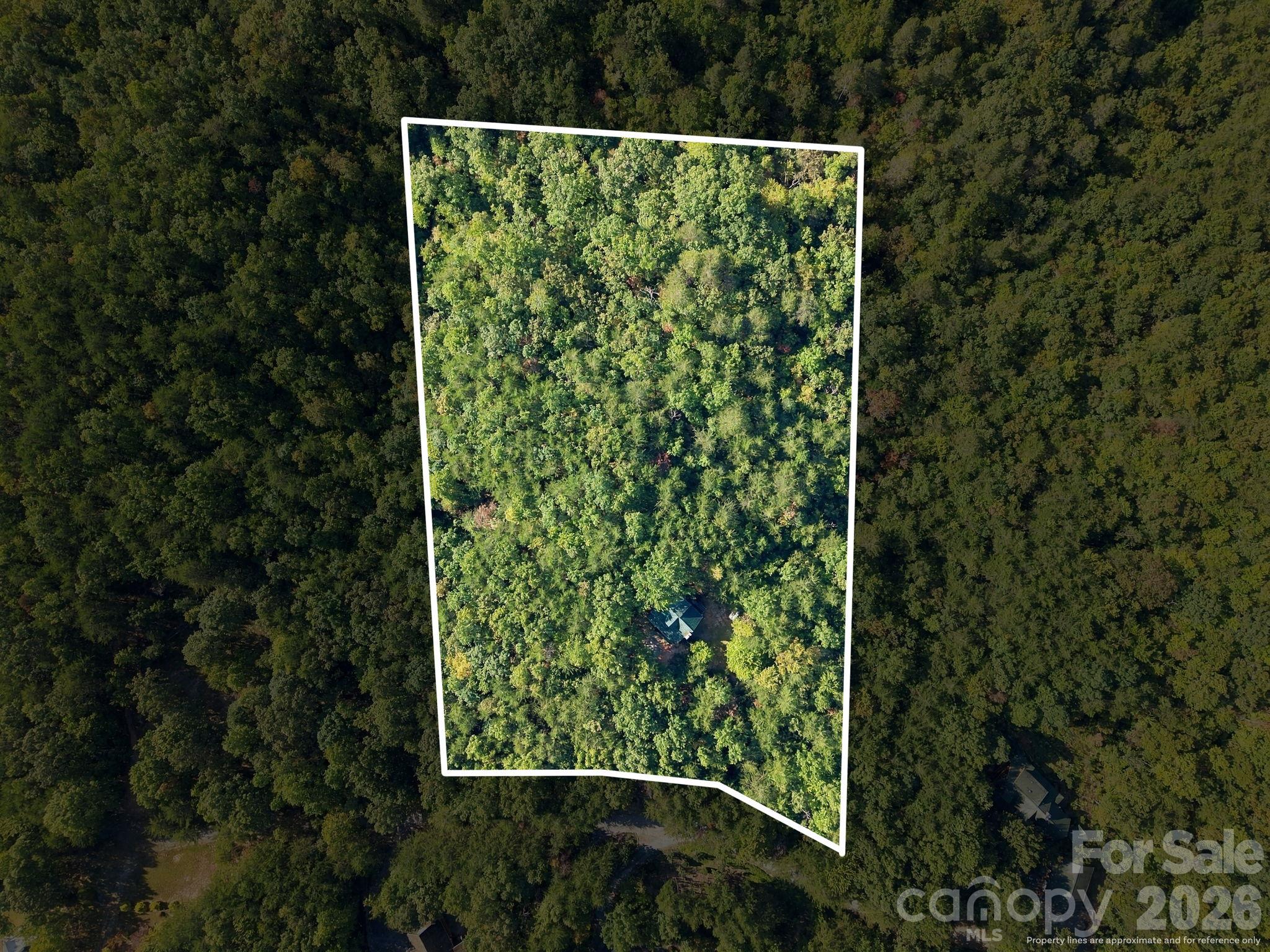 Single Family Residence at 418 Piney Creek Drive, Lake Lure, photo 4 of 38