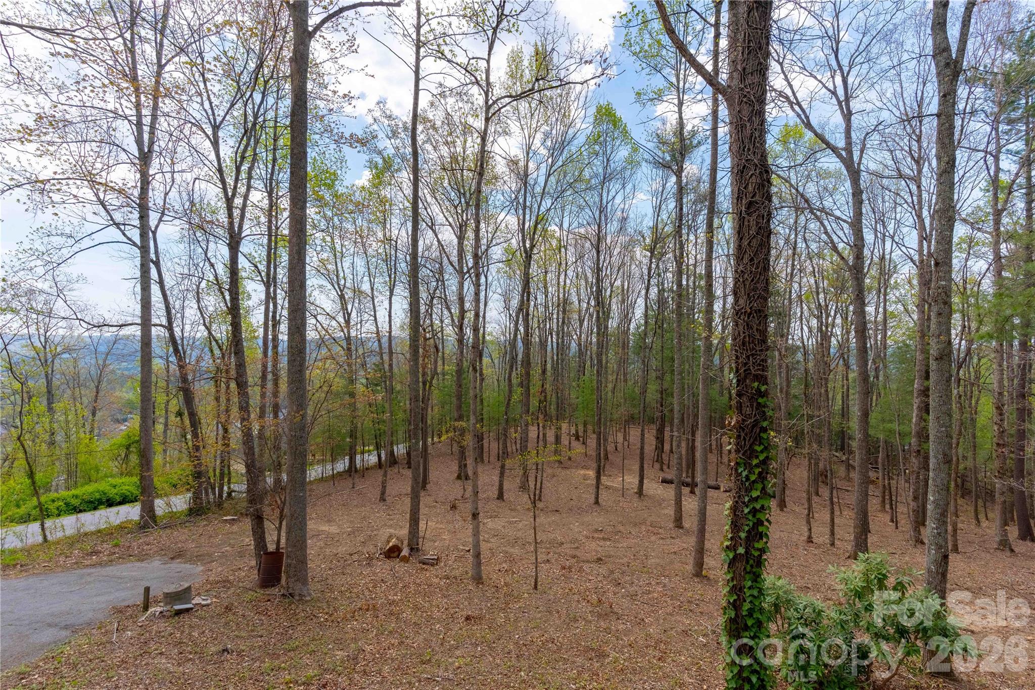 Southerly view - 39 Tatham Road, Hendersonville
