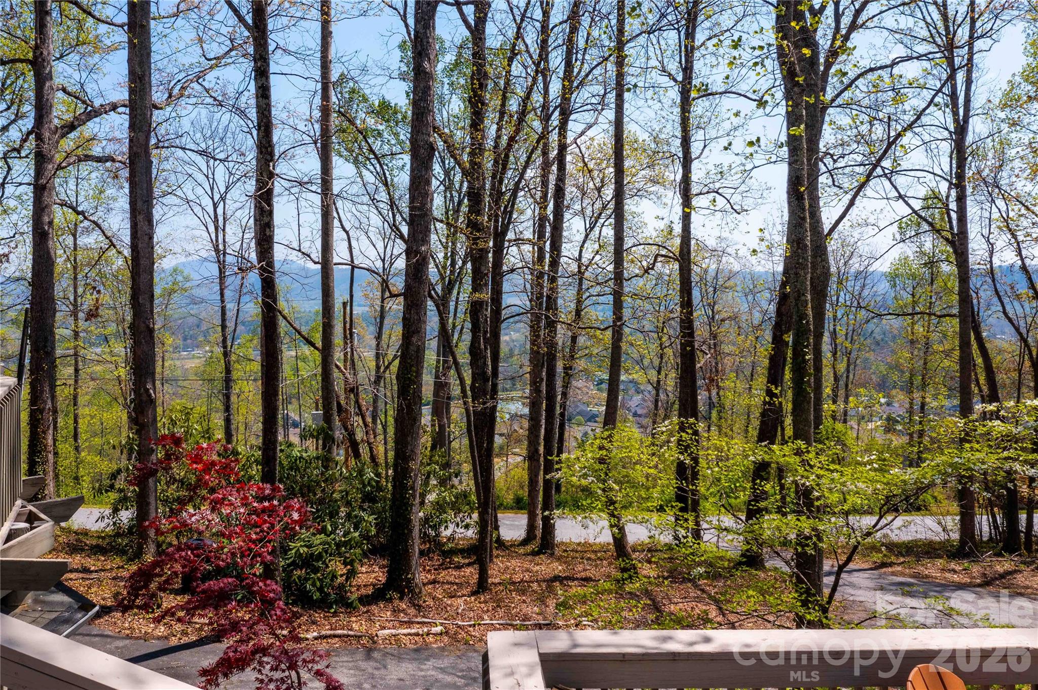 View looking East toward Tatham Rd - 39 Tatham Road, Hendersonville