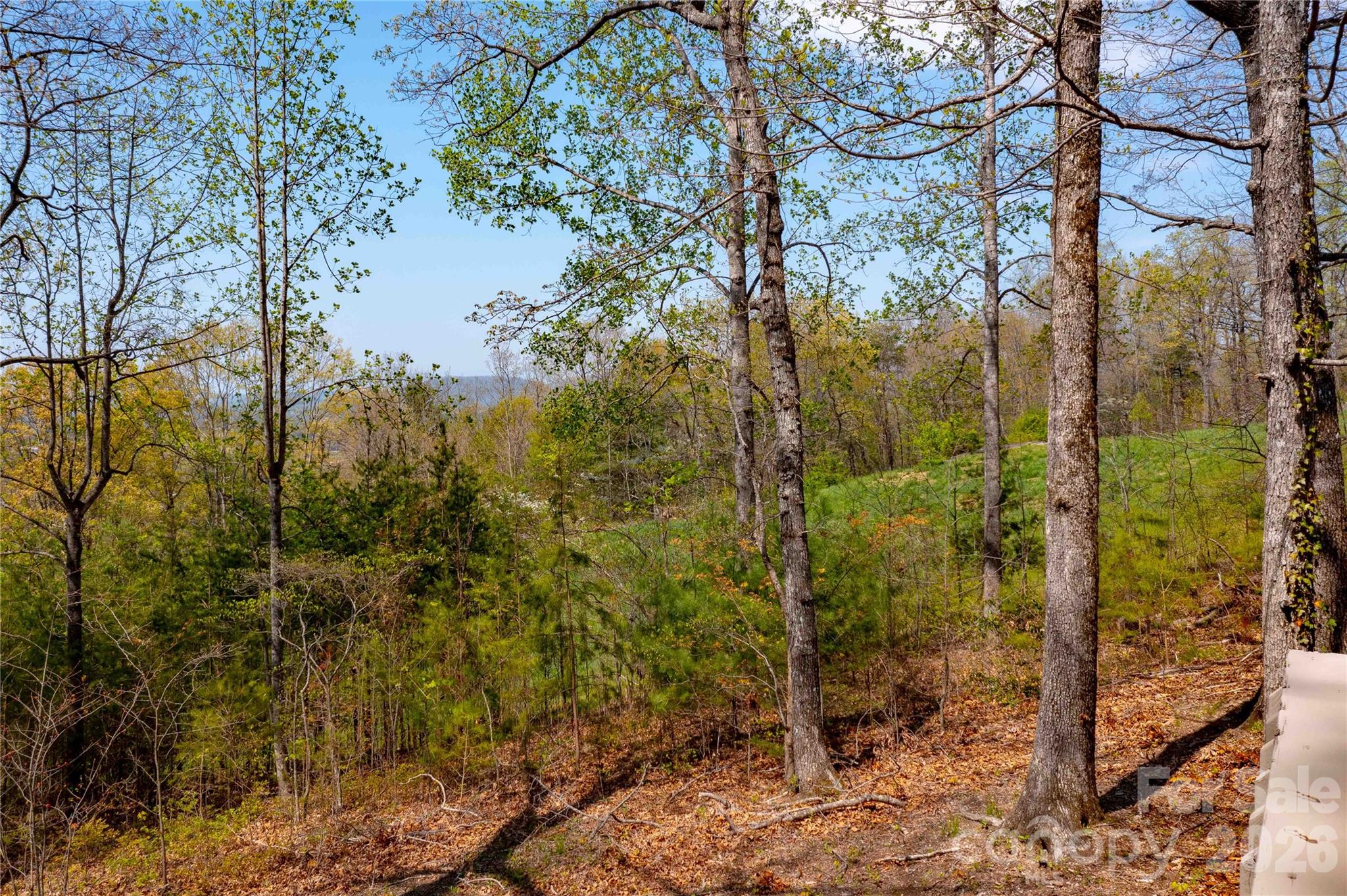 View looking west. - 39 Tatham Road, Hendersonville
