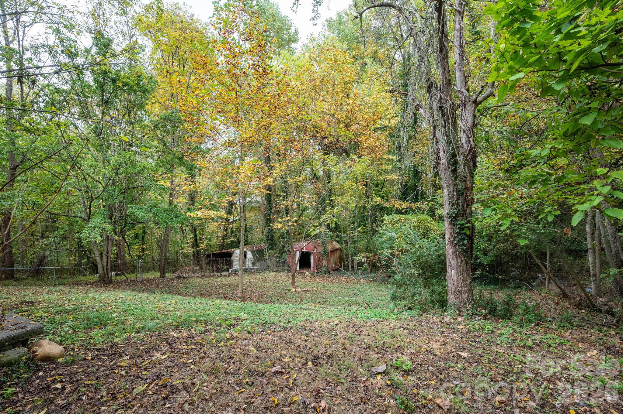 Spacious gently sloping back lot - 125 Fairfax Avenue, Asheville