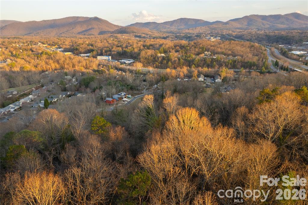 Single Family Residence at 9999 Weaver Hill Road, Asheville, photo 4 of 6