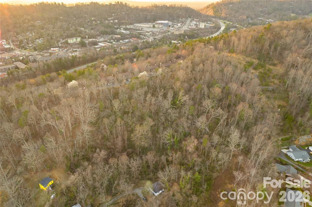Single Family Residence at 9999 Weaver Hill Road, Asheville, photo 5 of 6