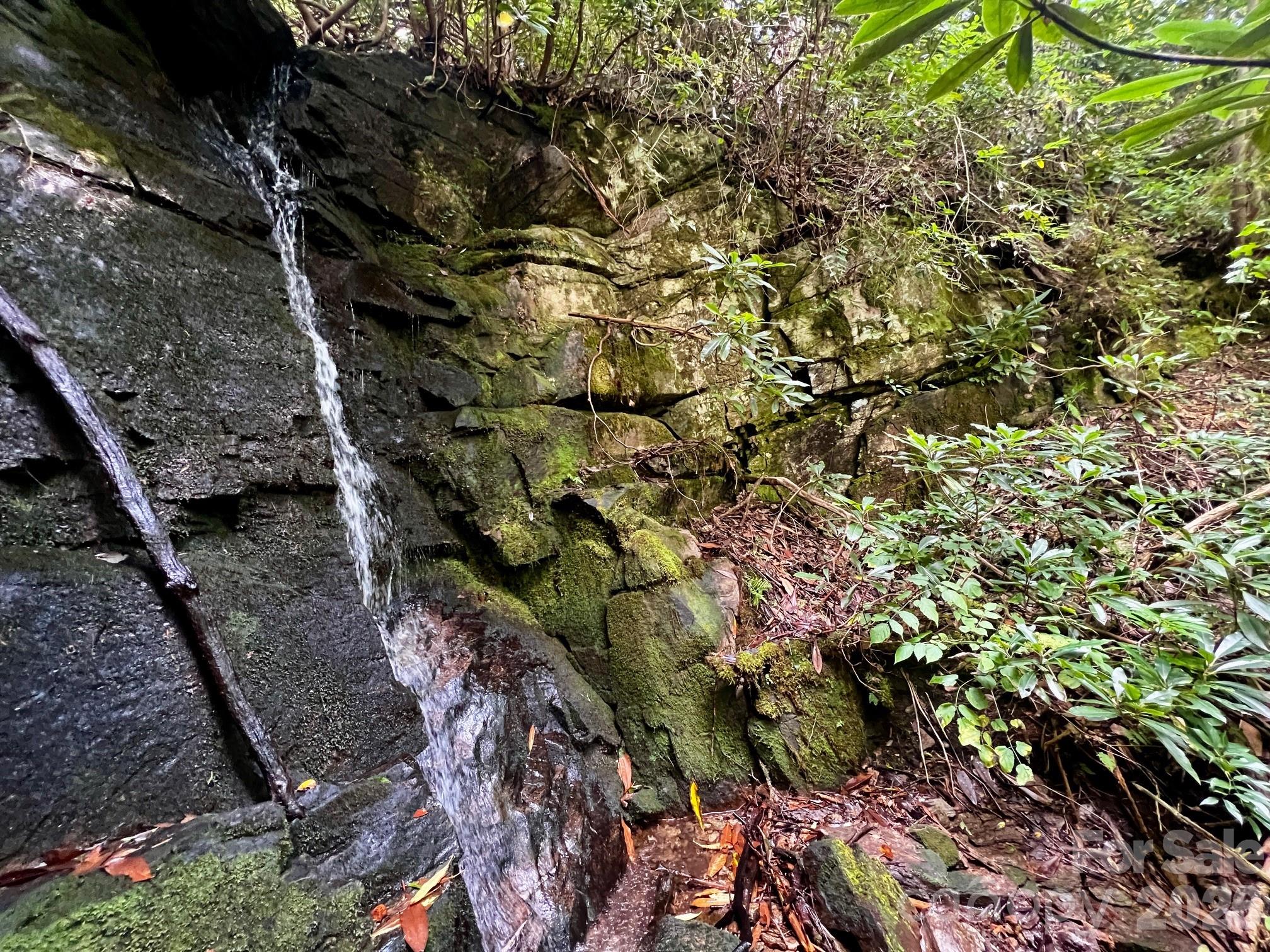 Waterfall appears to be on lot. buyer to verify. - Lot 11 Silver Maple Trail, Brevard