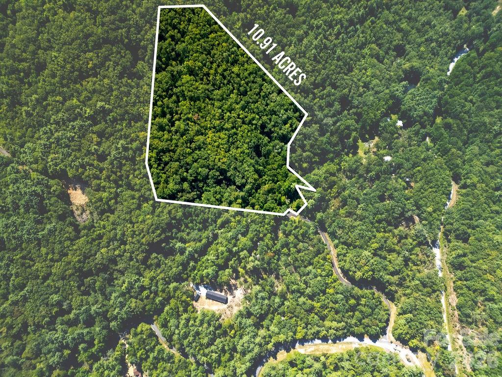 Lot at Lot 11 Silver Maple Trail, Brevard, photo 4 of 21