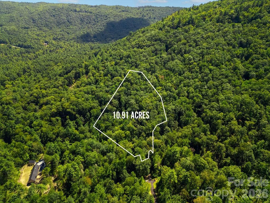 Lot at Lot 11 Silver Maple Trail, Brevard, photo 7 of 21
