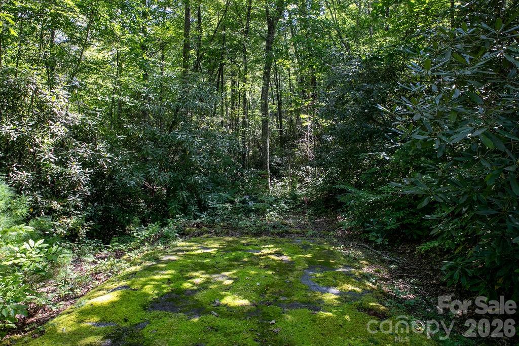 Lot at Lot 11 Silver Maple Trail, Brevard, photo 10 of 21