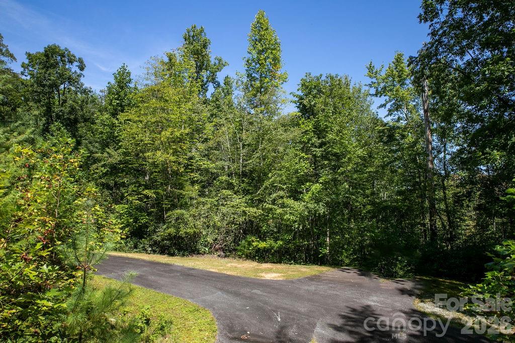 Lot at Lot 11 Silver Maple Trail, Brevard, photo 11 of 21