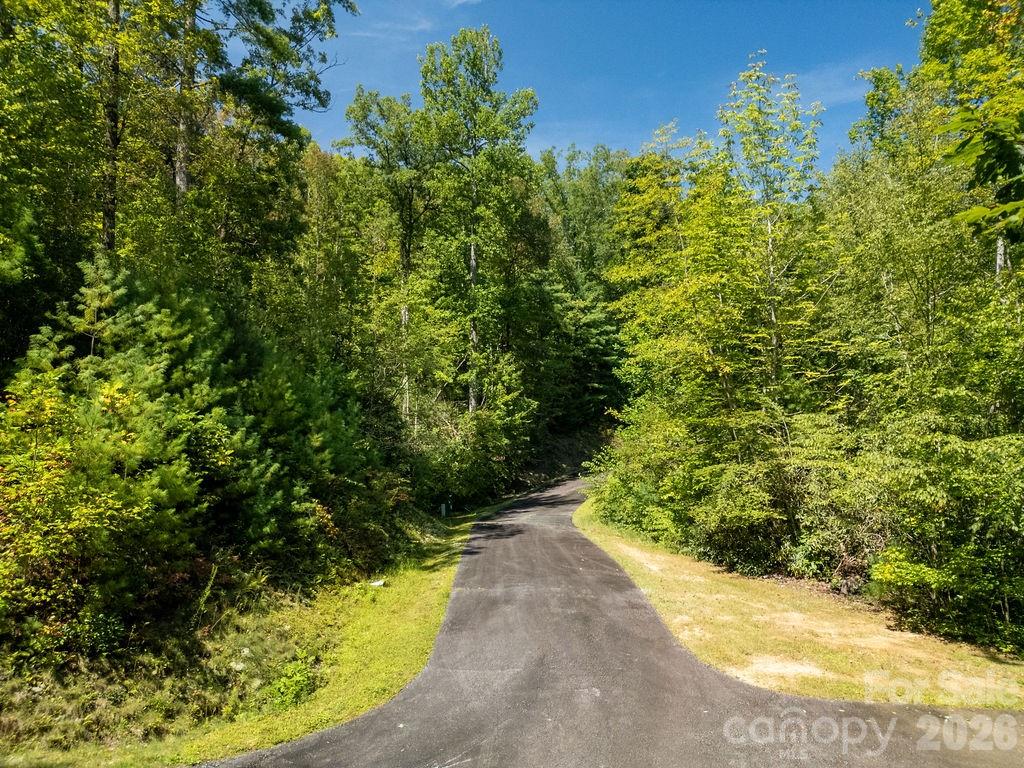 Lot at Lot 11 Silver Maple Trail, Brevard, photo 12 of 21