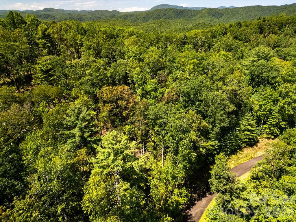 Lot at Lot 11 Silver Maple Trail, Brevard, photo 13 of 21