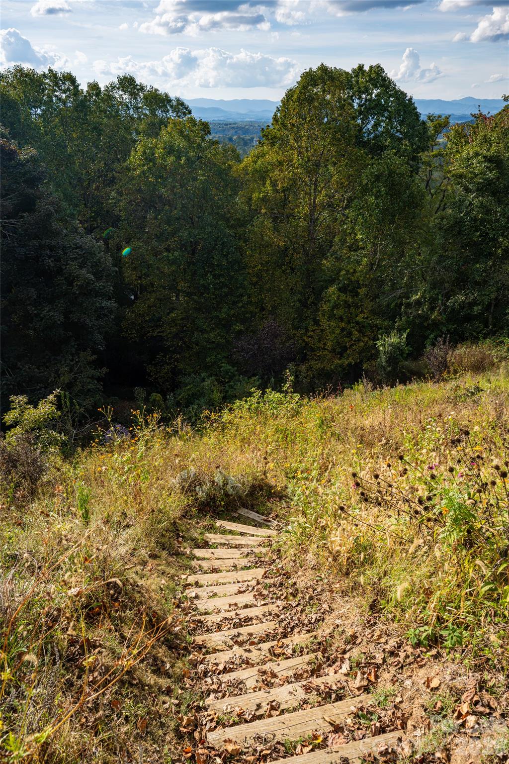 Trails down the mountain - 92 Horizon Hill Road, Asheville