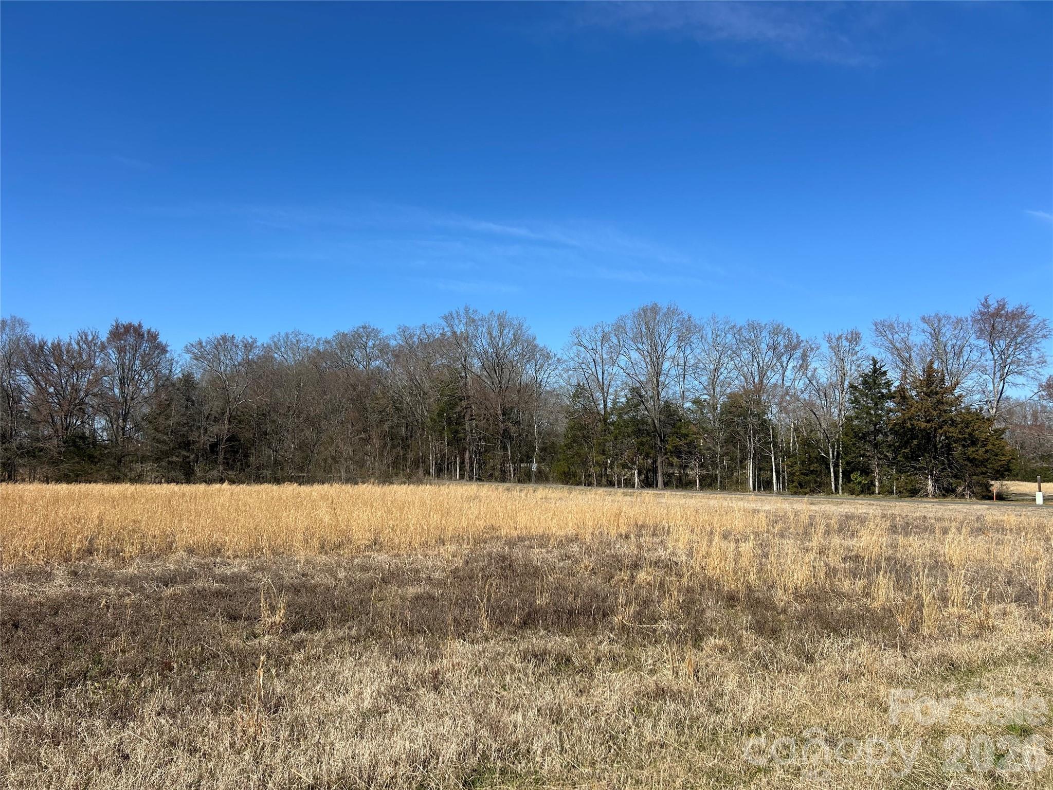 Acreage at 62 Ac Bridgewater Road, Rock Hill, photo 3 of 45