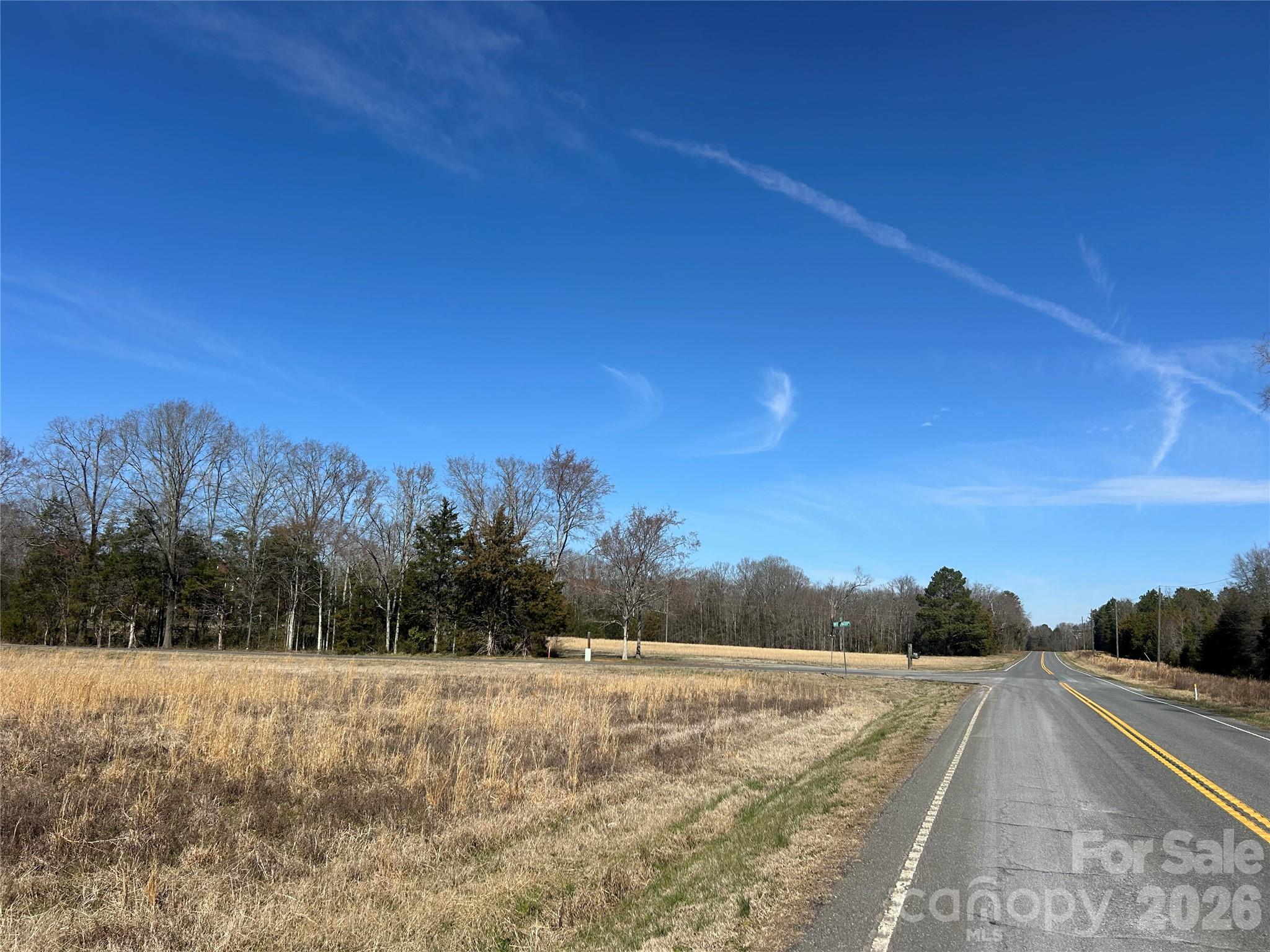 Acreage at 62 Ac Bridgewater Road, Rock Hill, photo 4 of 45