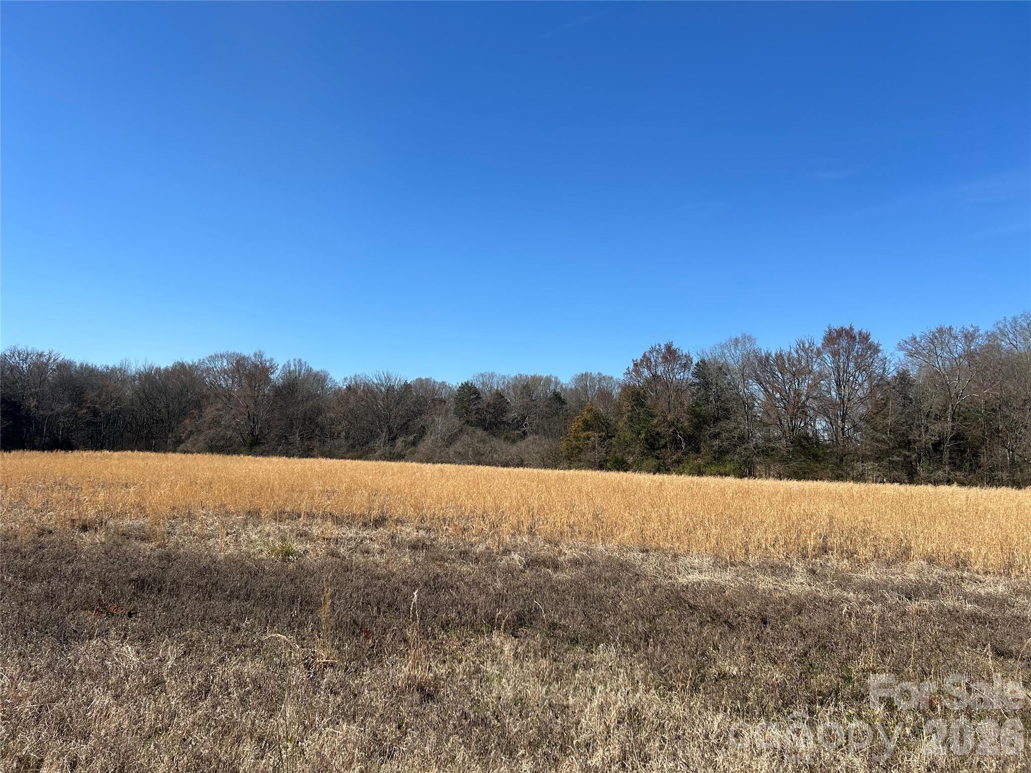 Acreage at 62 Ac Bridgewater Road, Rock Hill, photo 6 of 45